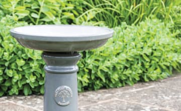 Birdbath / Gyo