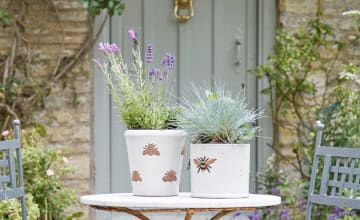 Bee Kind