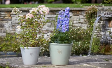 Royal Horticultural Society