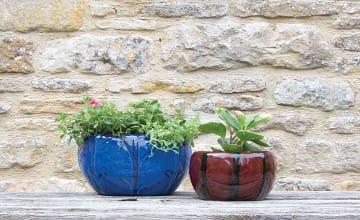 Wall Pots