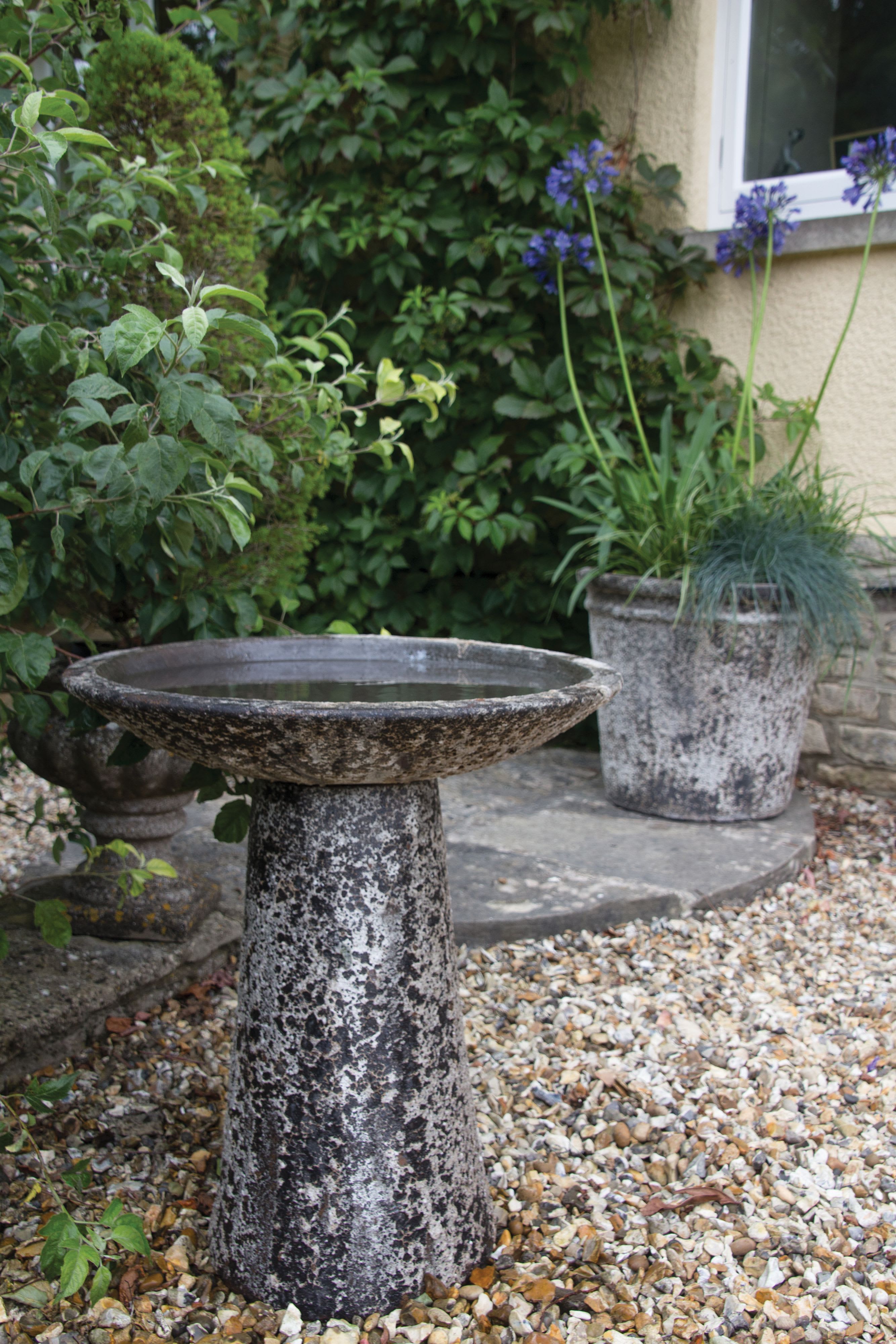 Ancient Birdbath lifestyle