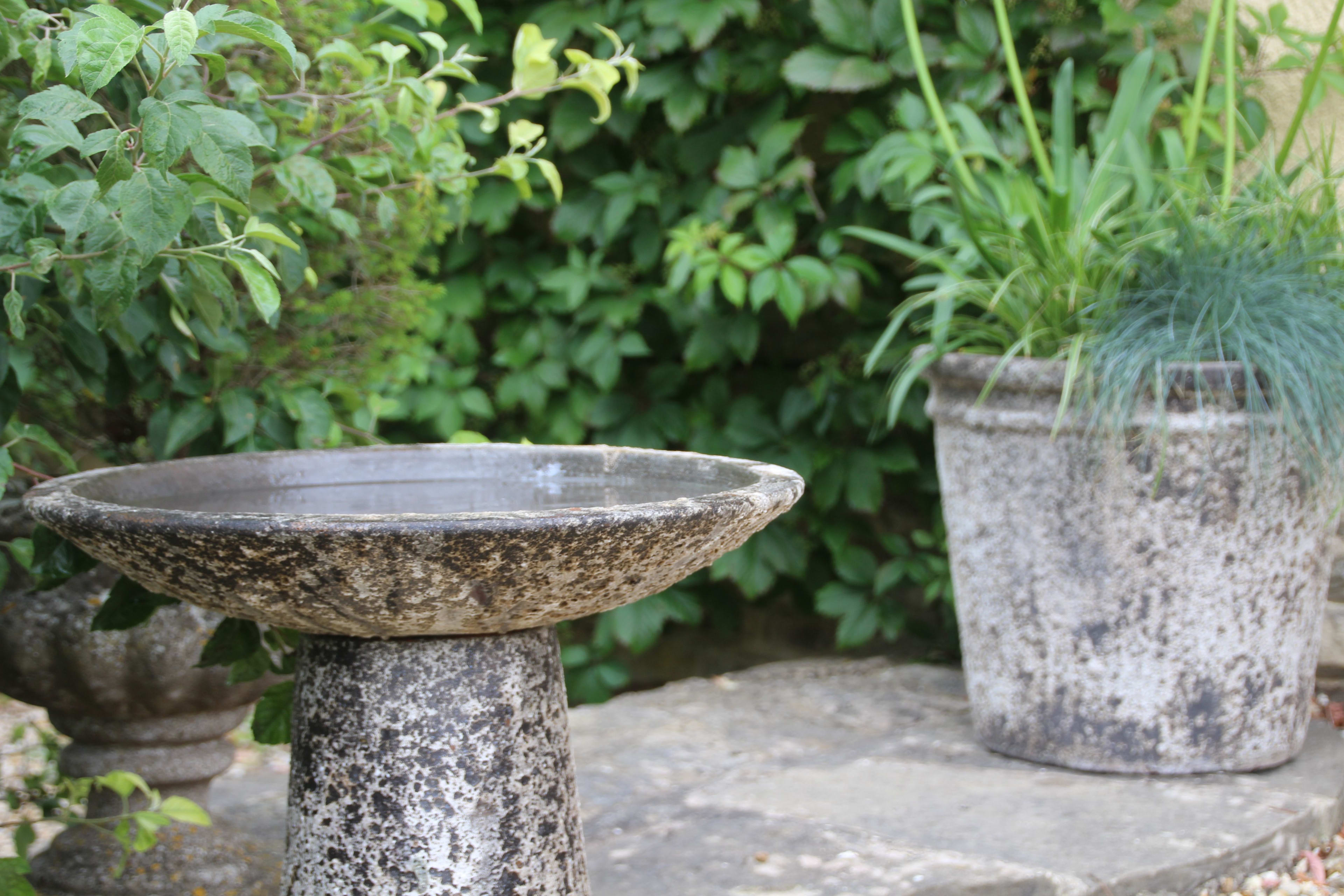 [object Object] image 2