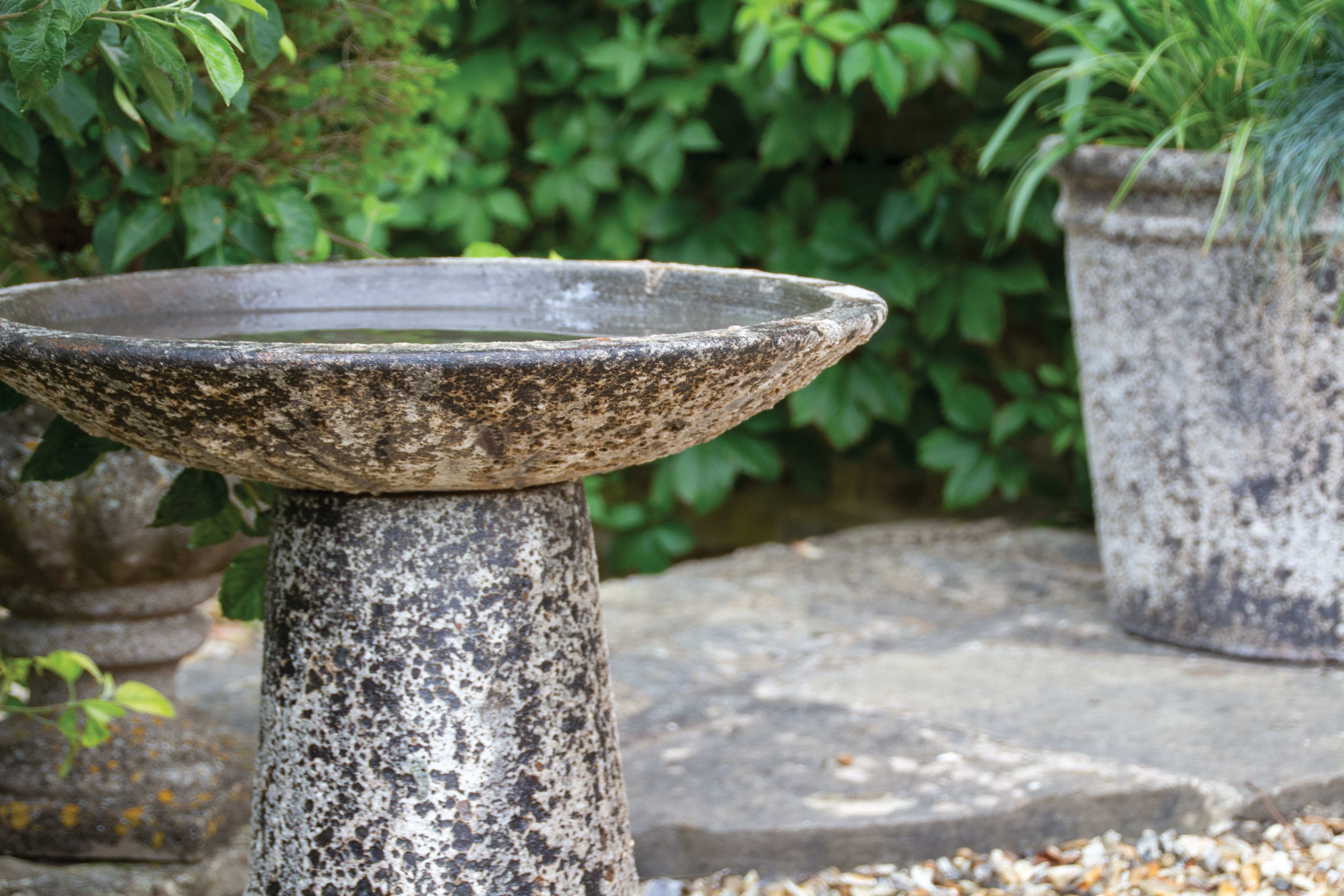 [object Object] image 3