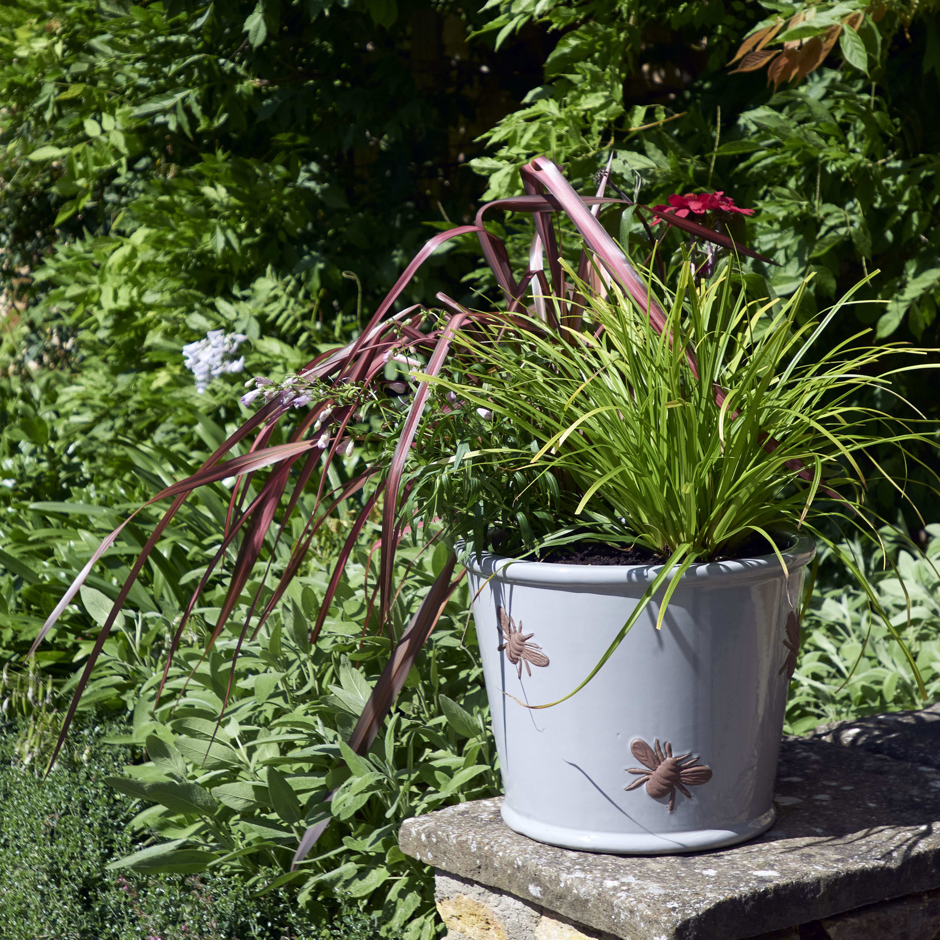 [object Object] image 5