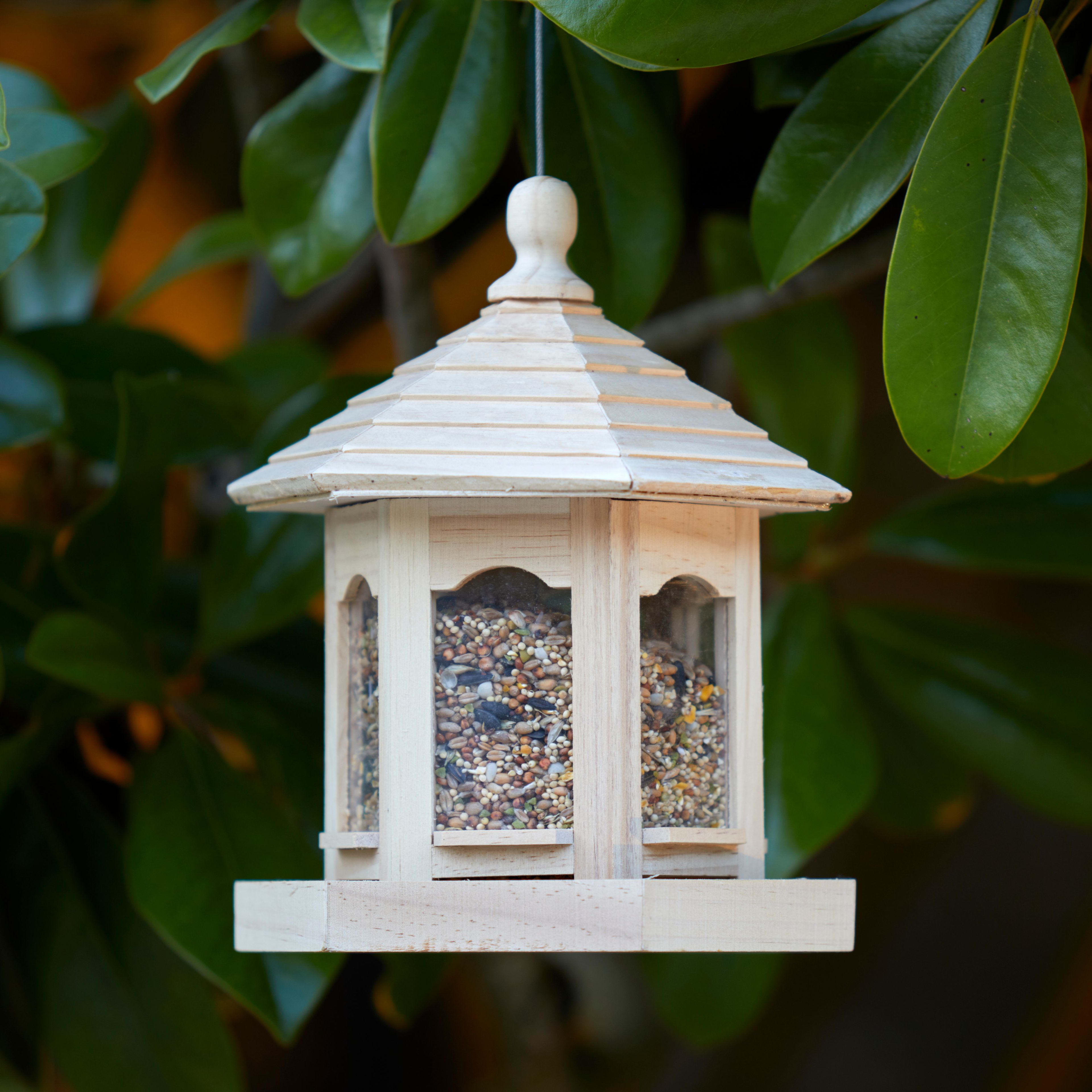 [object Object] image 1