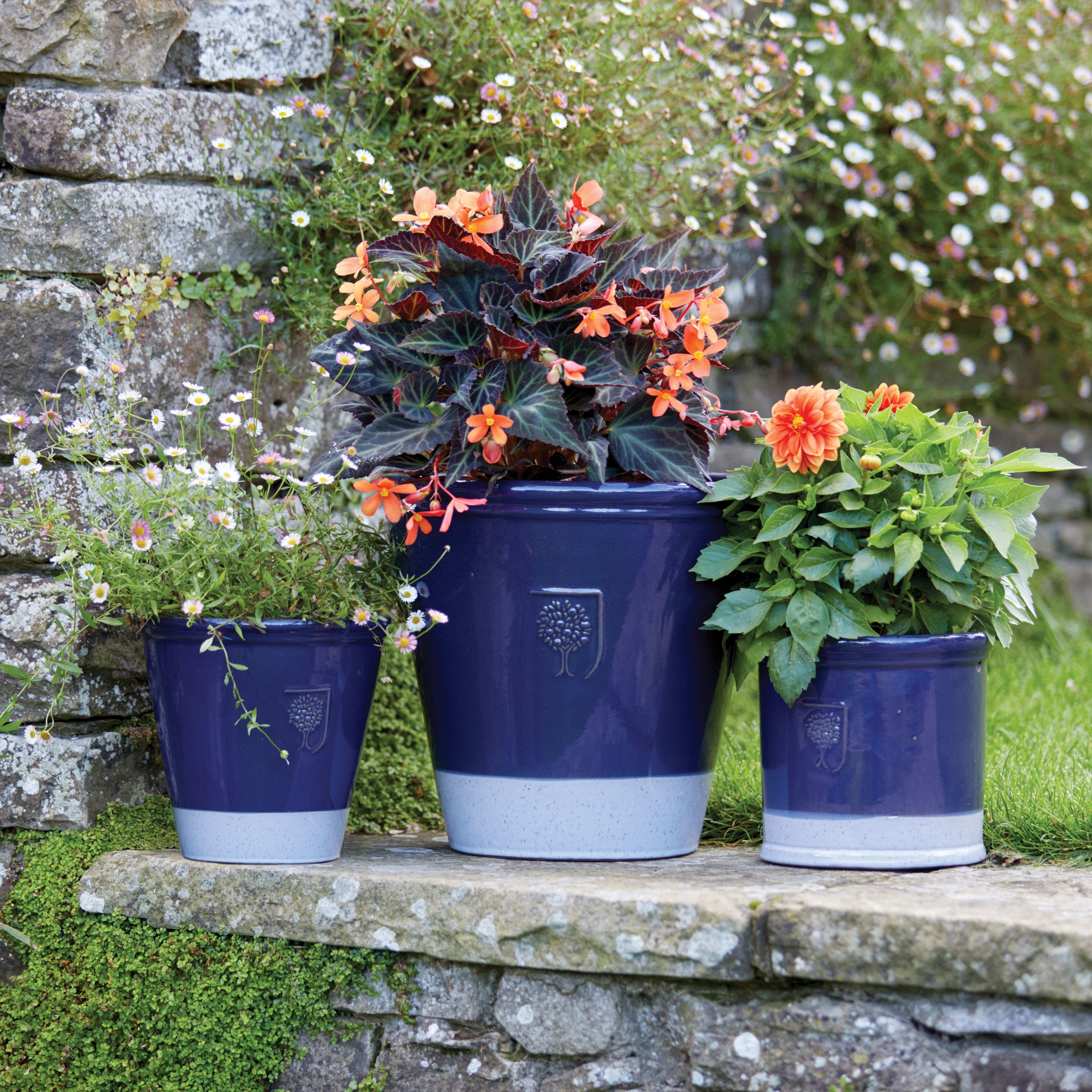 [object Object] image 11