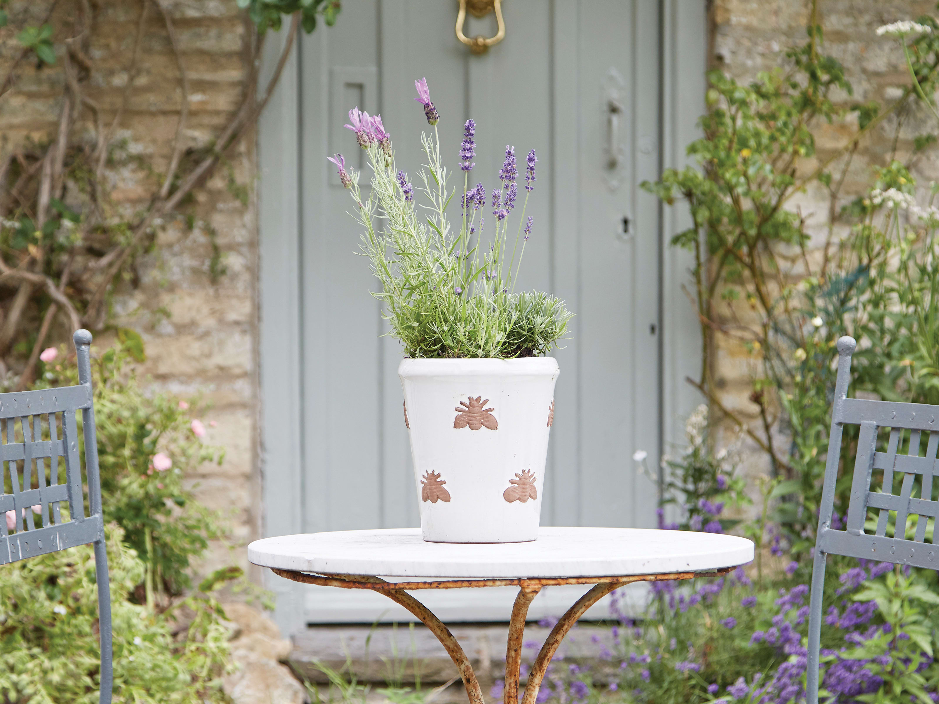 [object Object] image 7