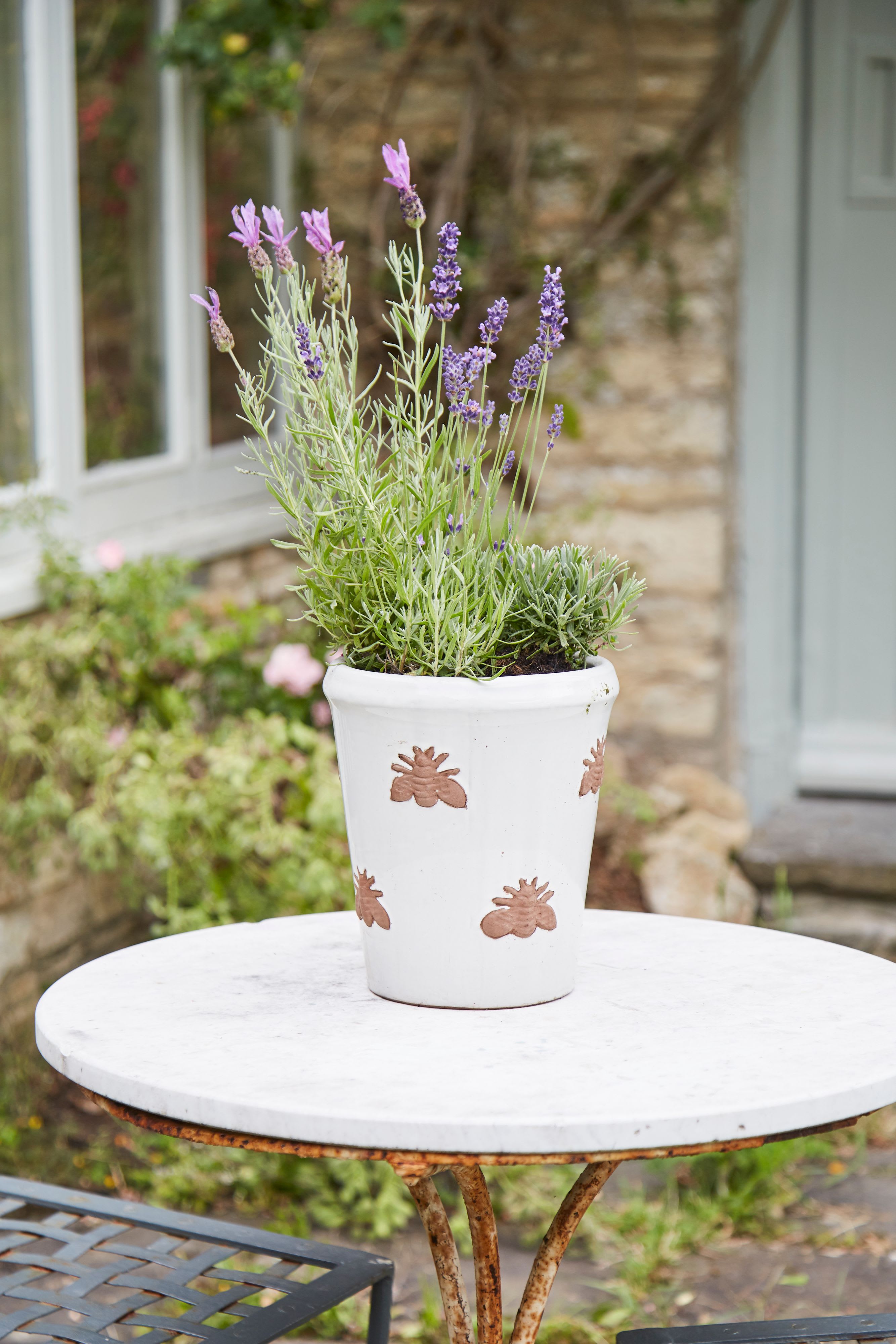 [object Object] image 8