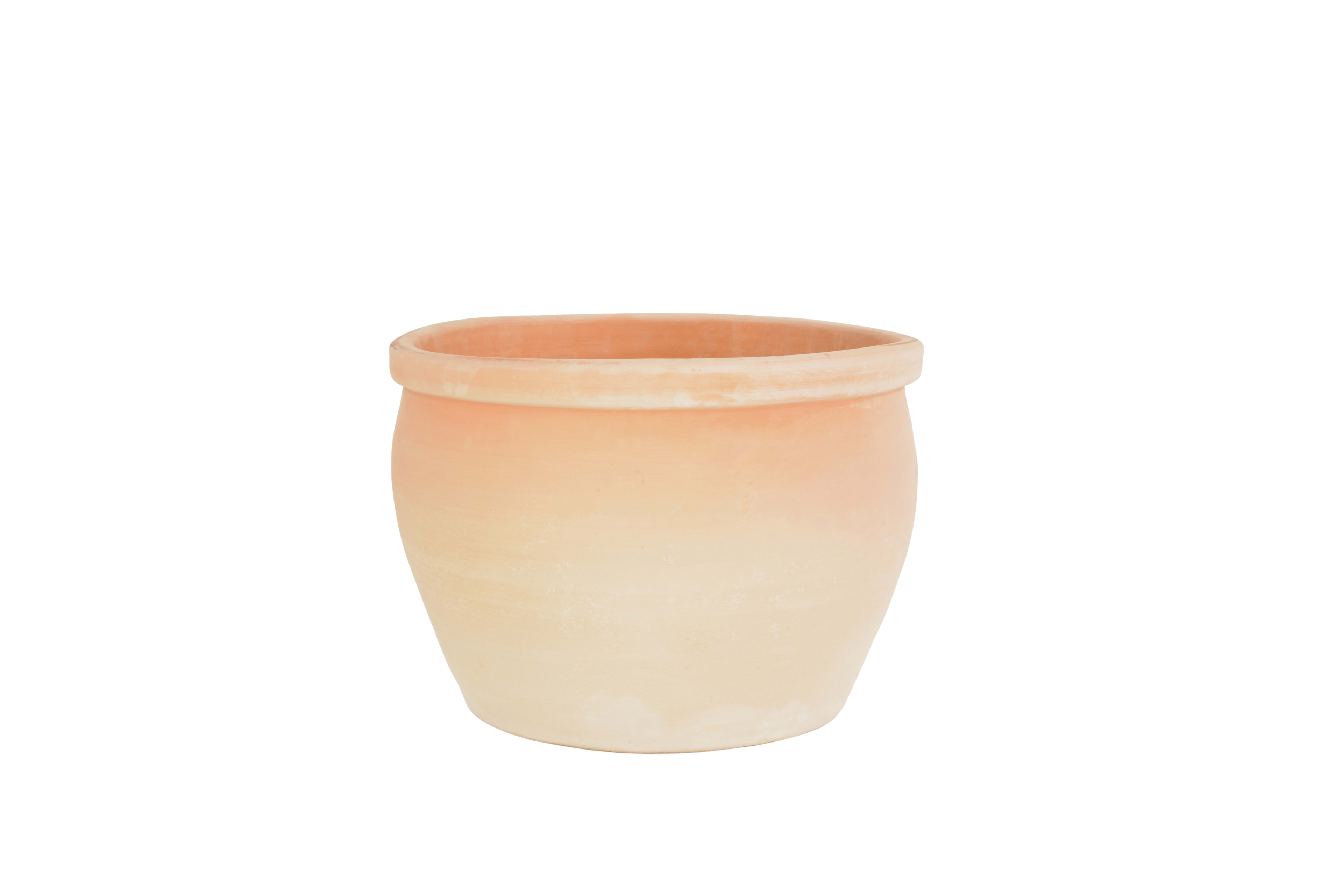 [object Object] image 2