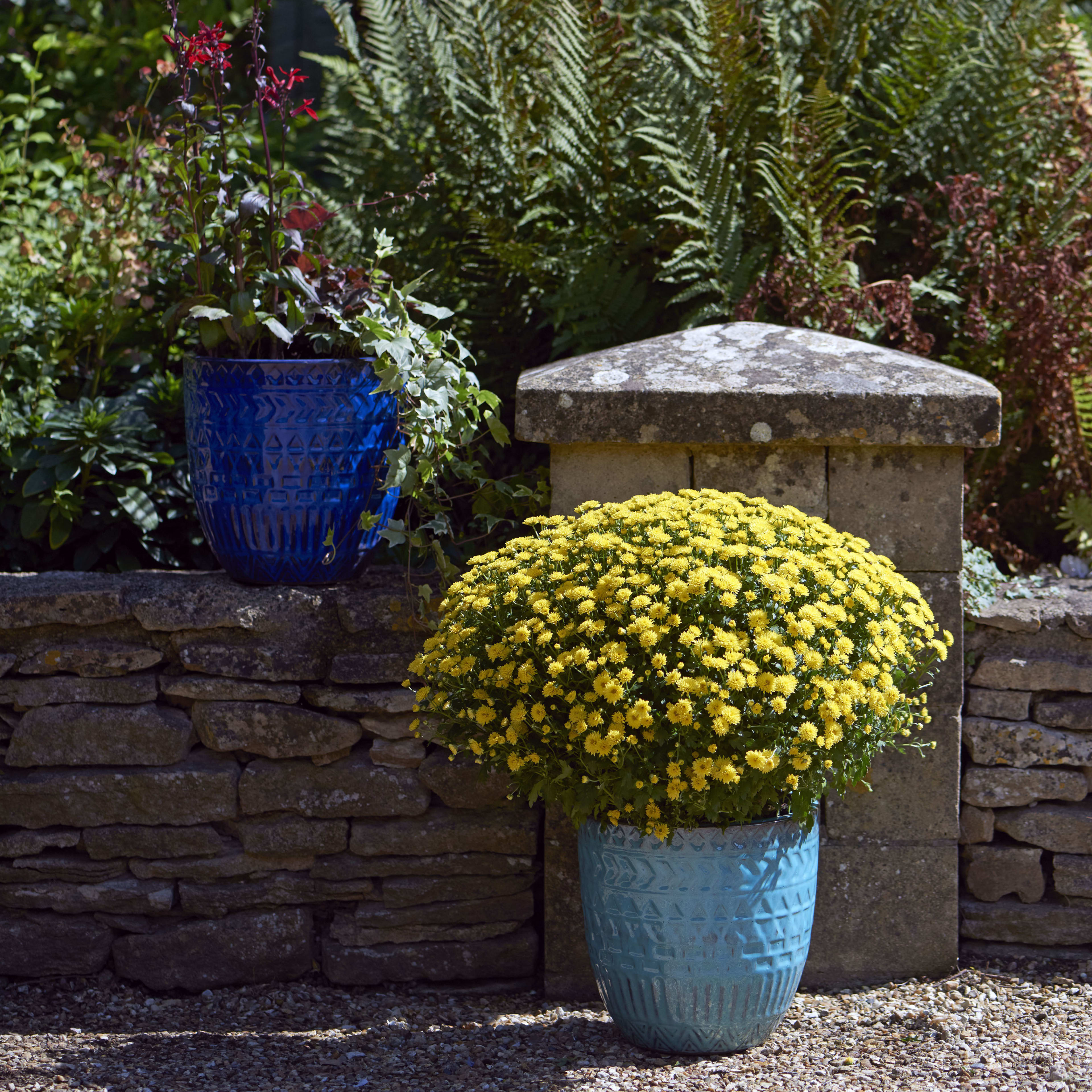 [object Object] image 2