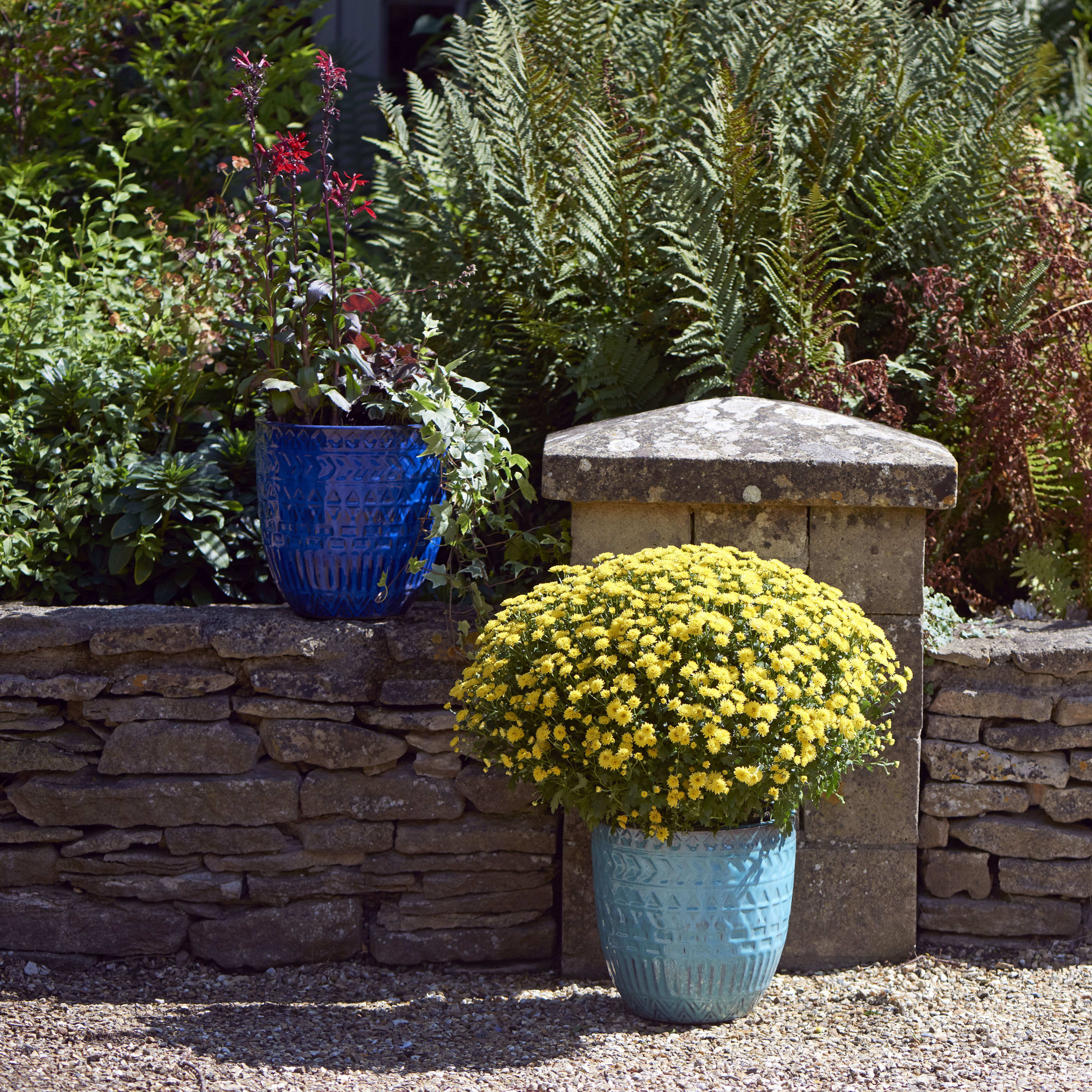 [object Object] image 3