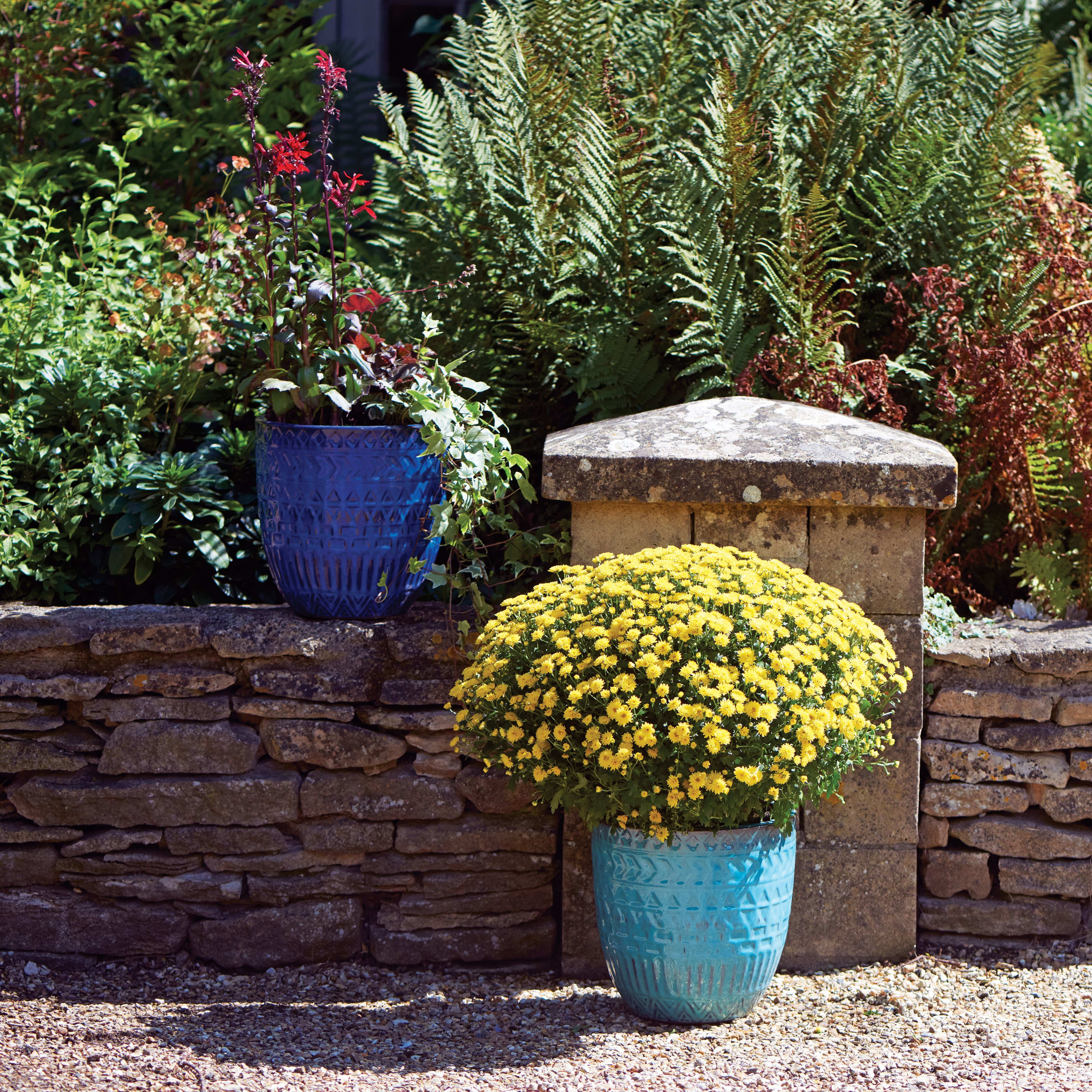 [object Object] image 8