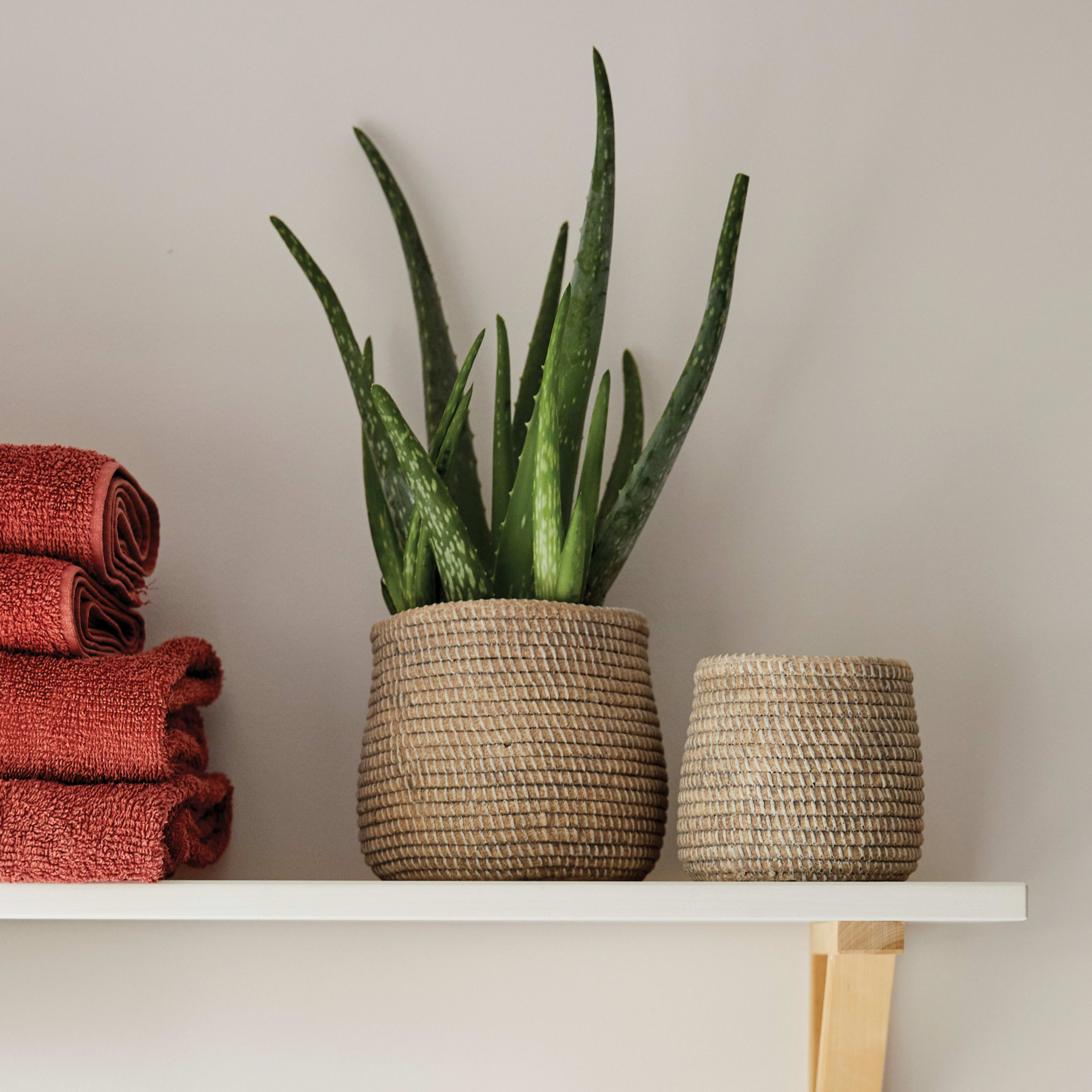 Delhi Pot 25cm lifestyle