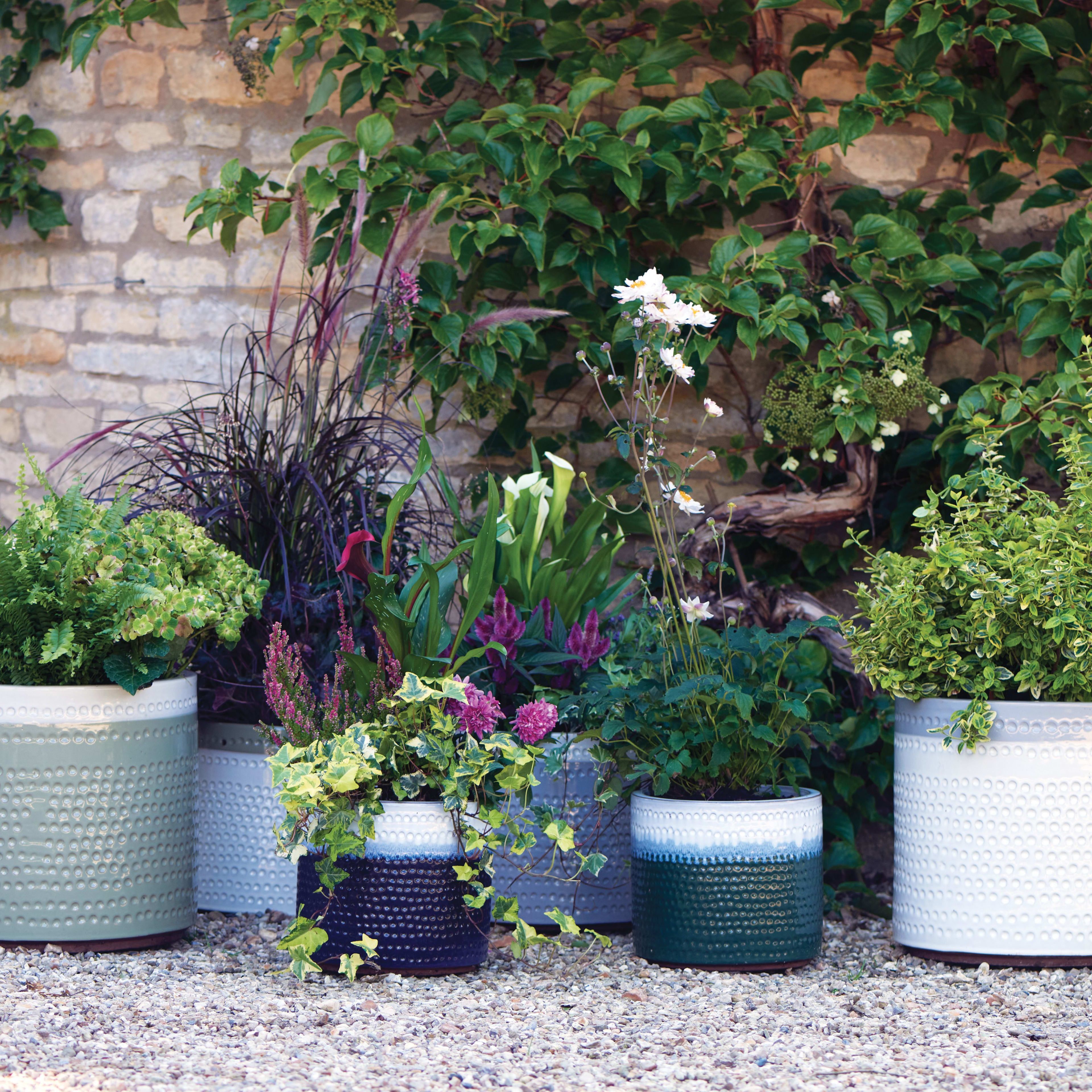 [object Object] image 5