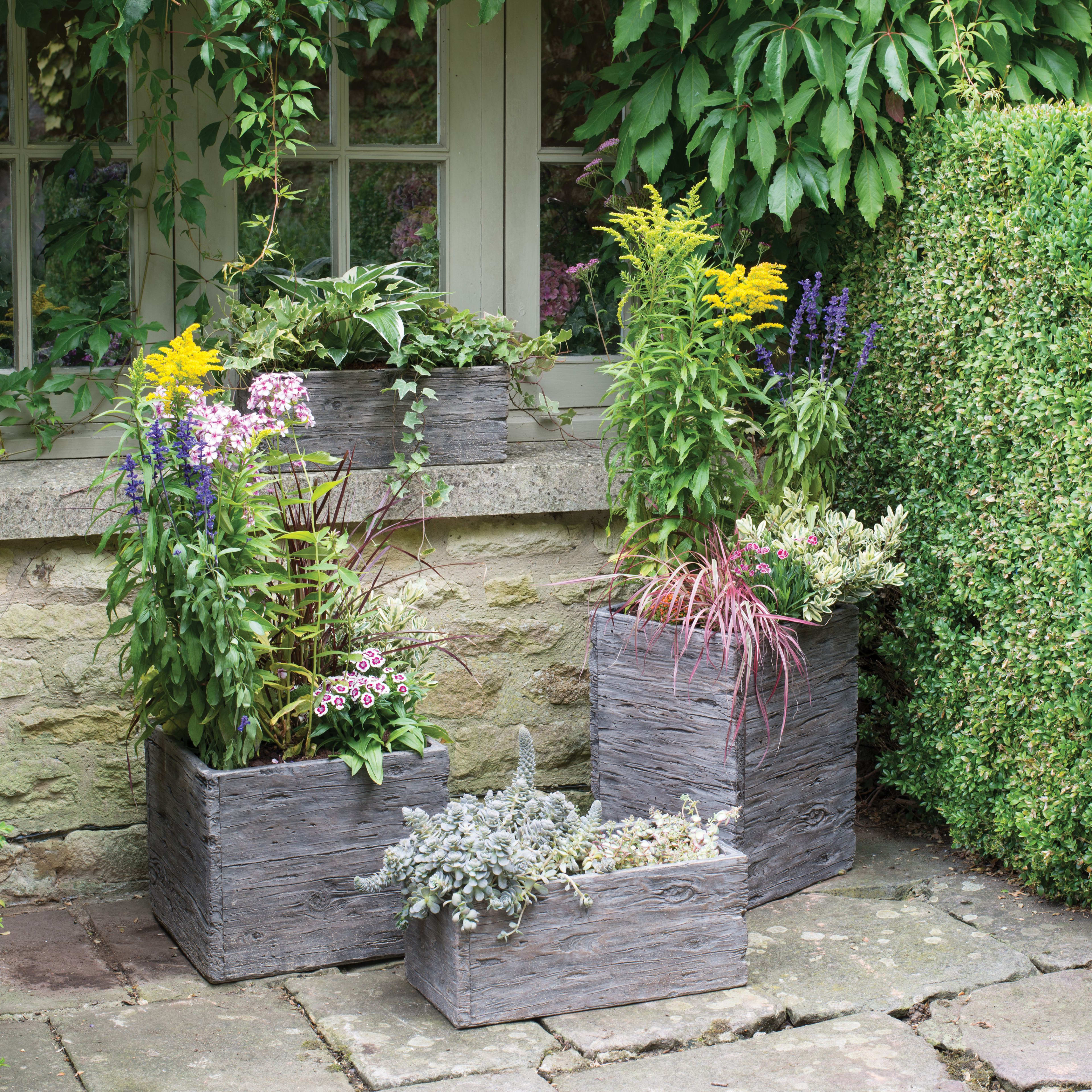 [object Object] image 7