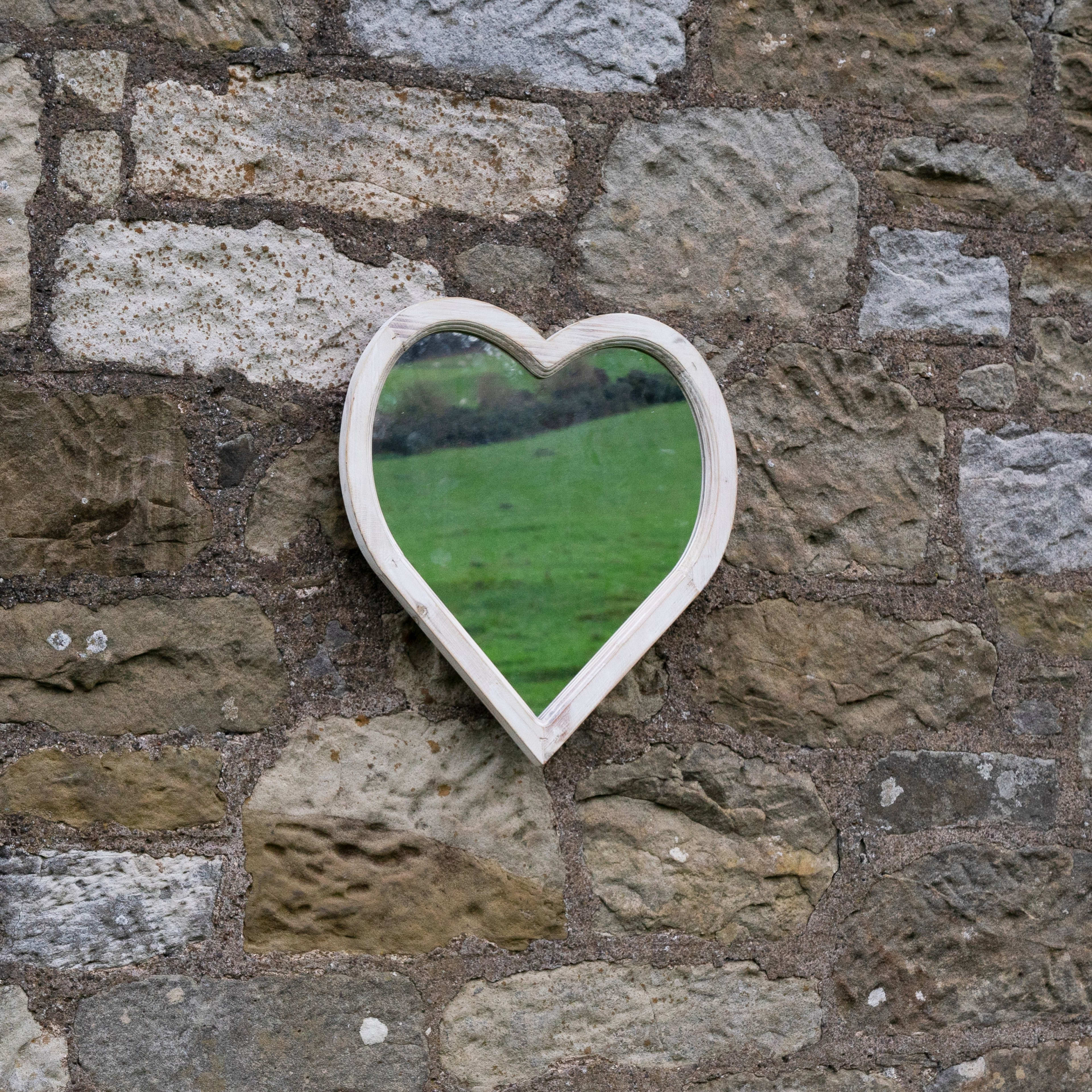 [object Object] image 1