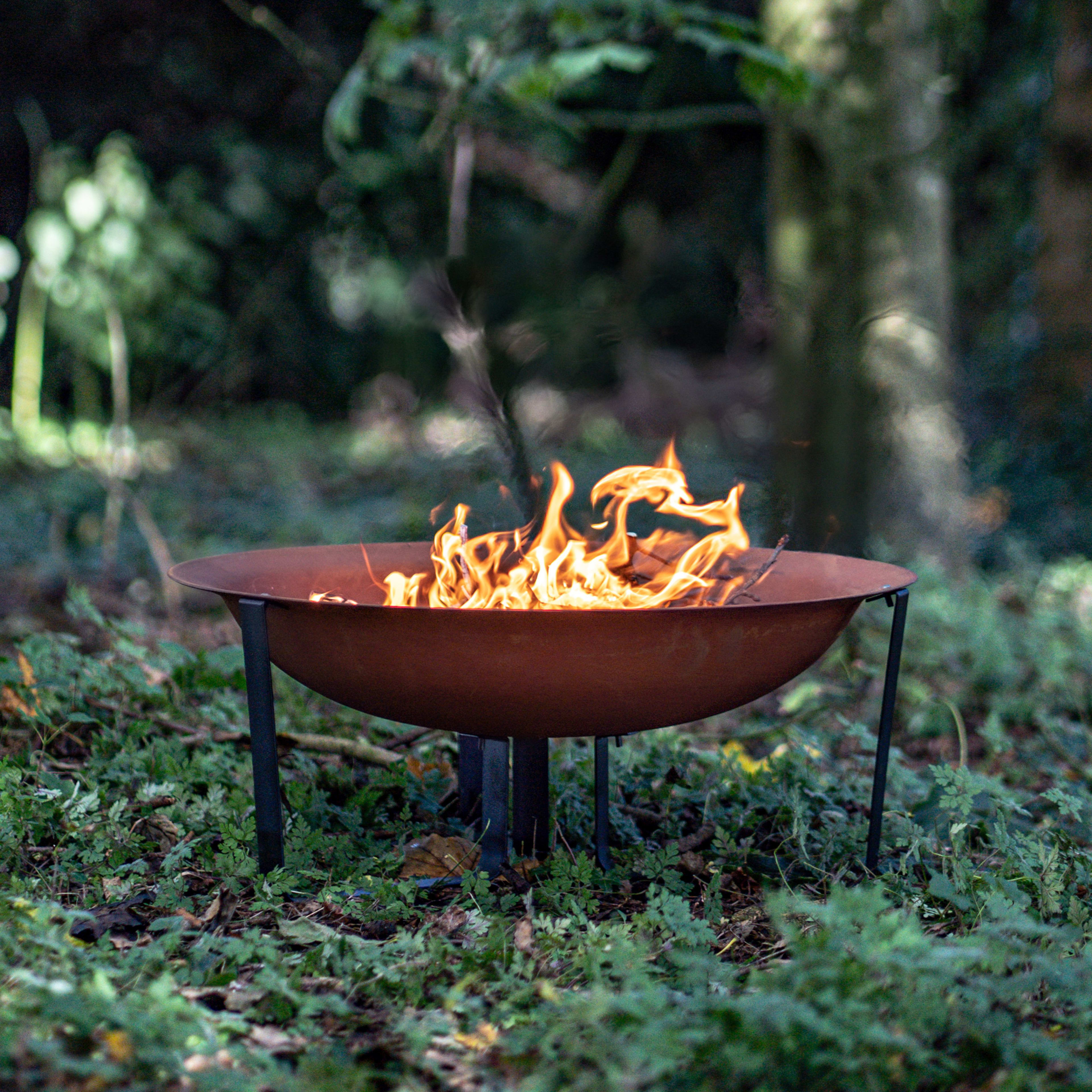 [object Object] image 2