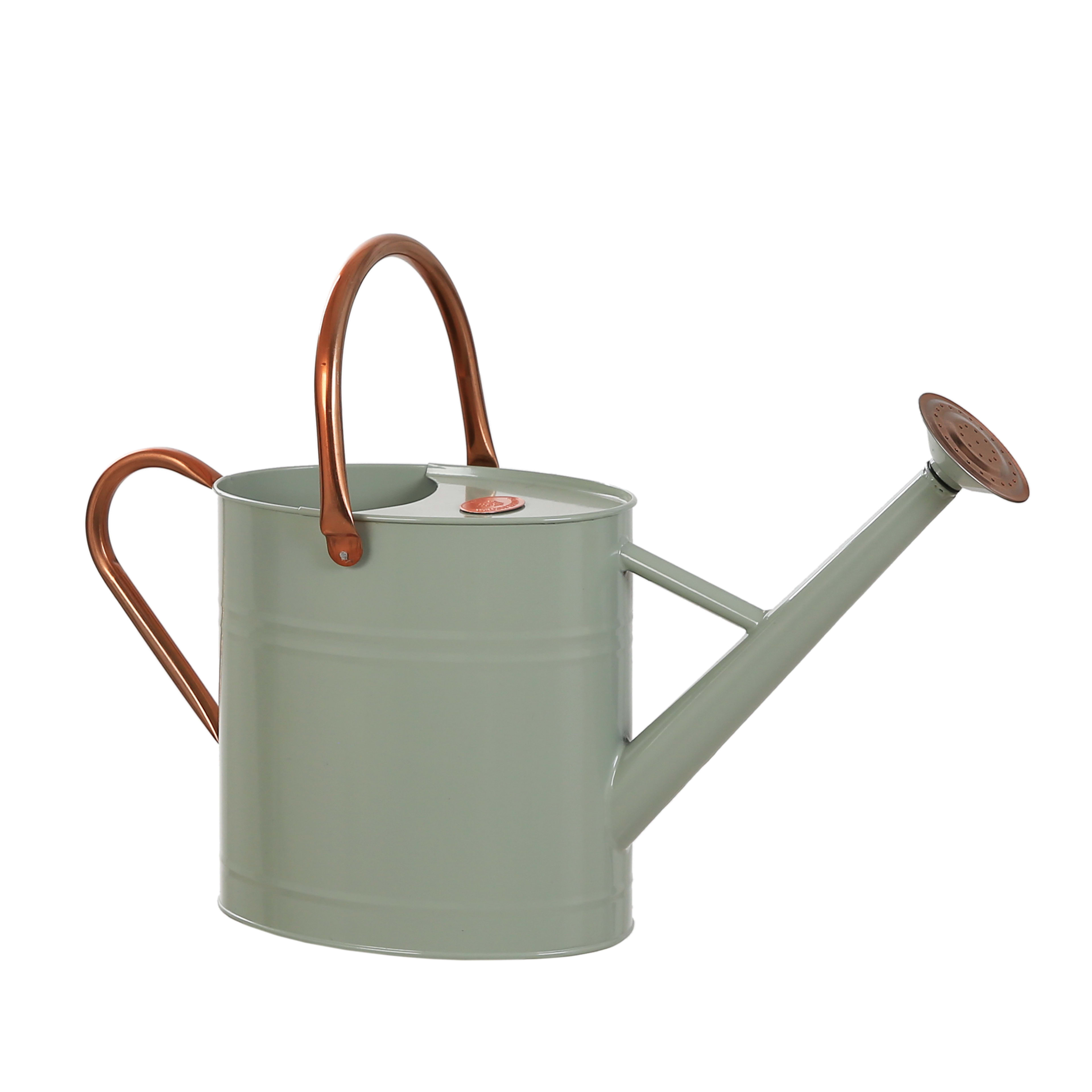 [object Object] image 0