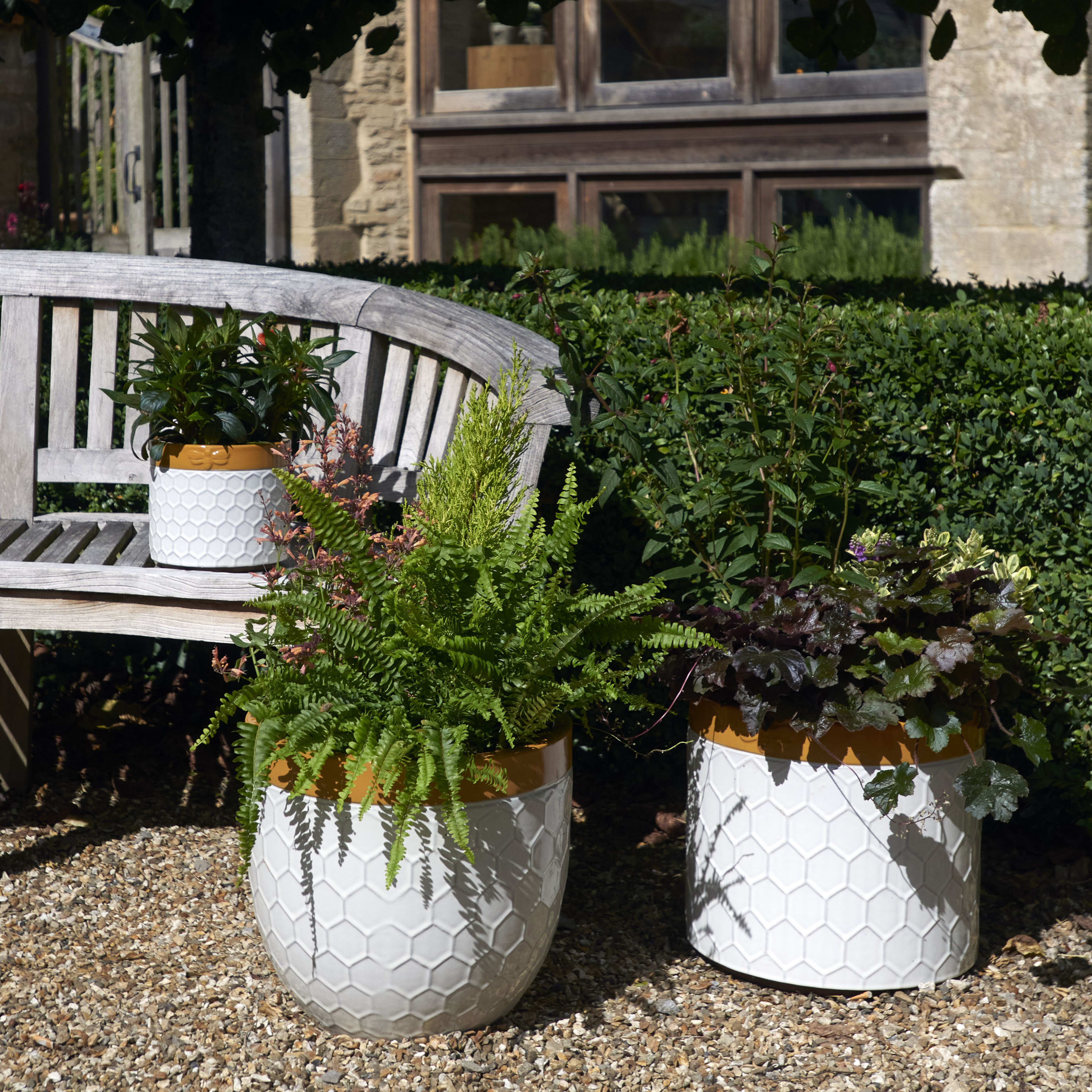 [object Object] image 4