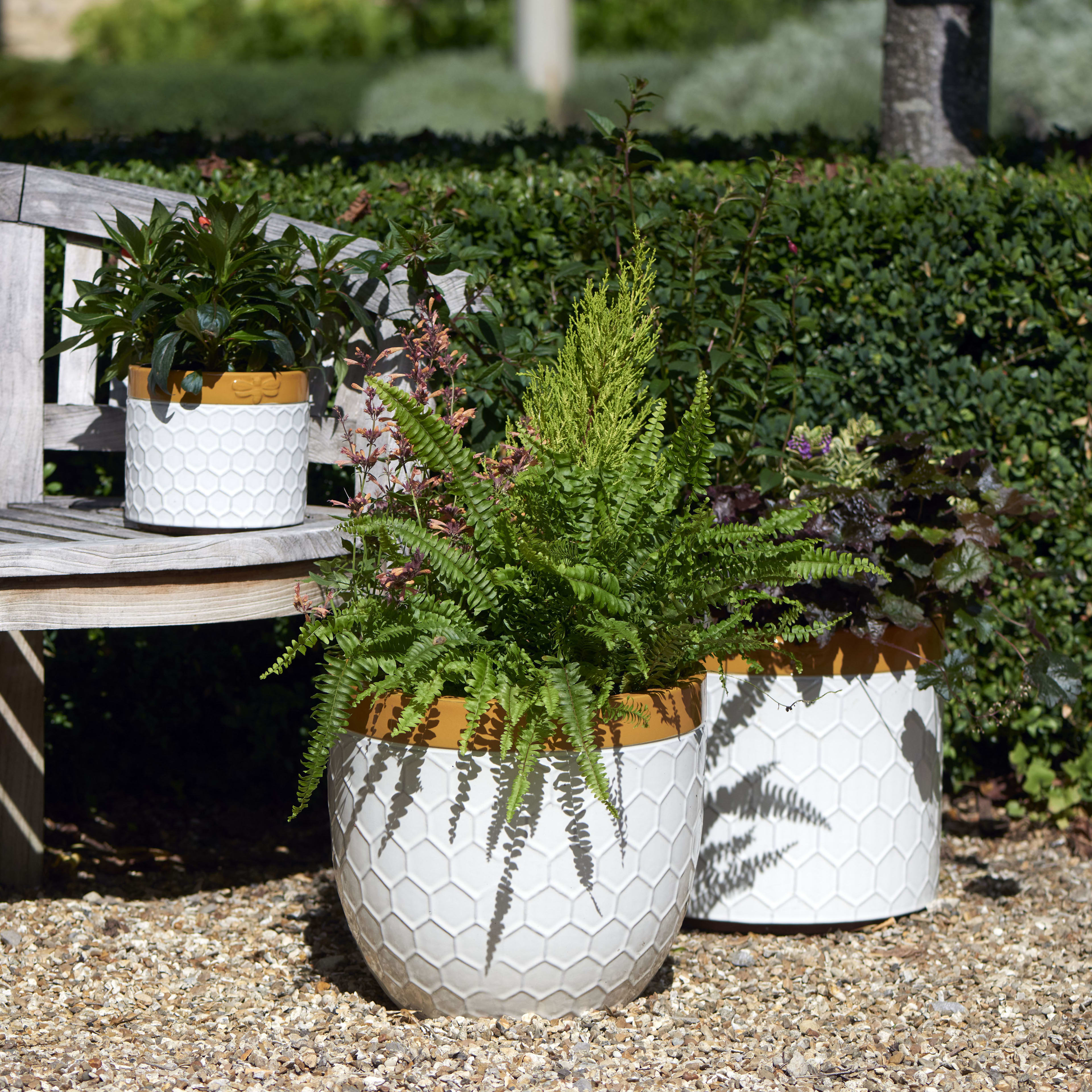 [object Object] image 5