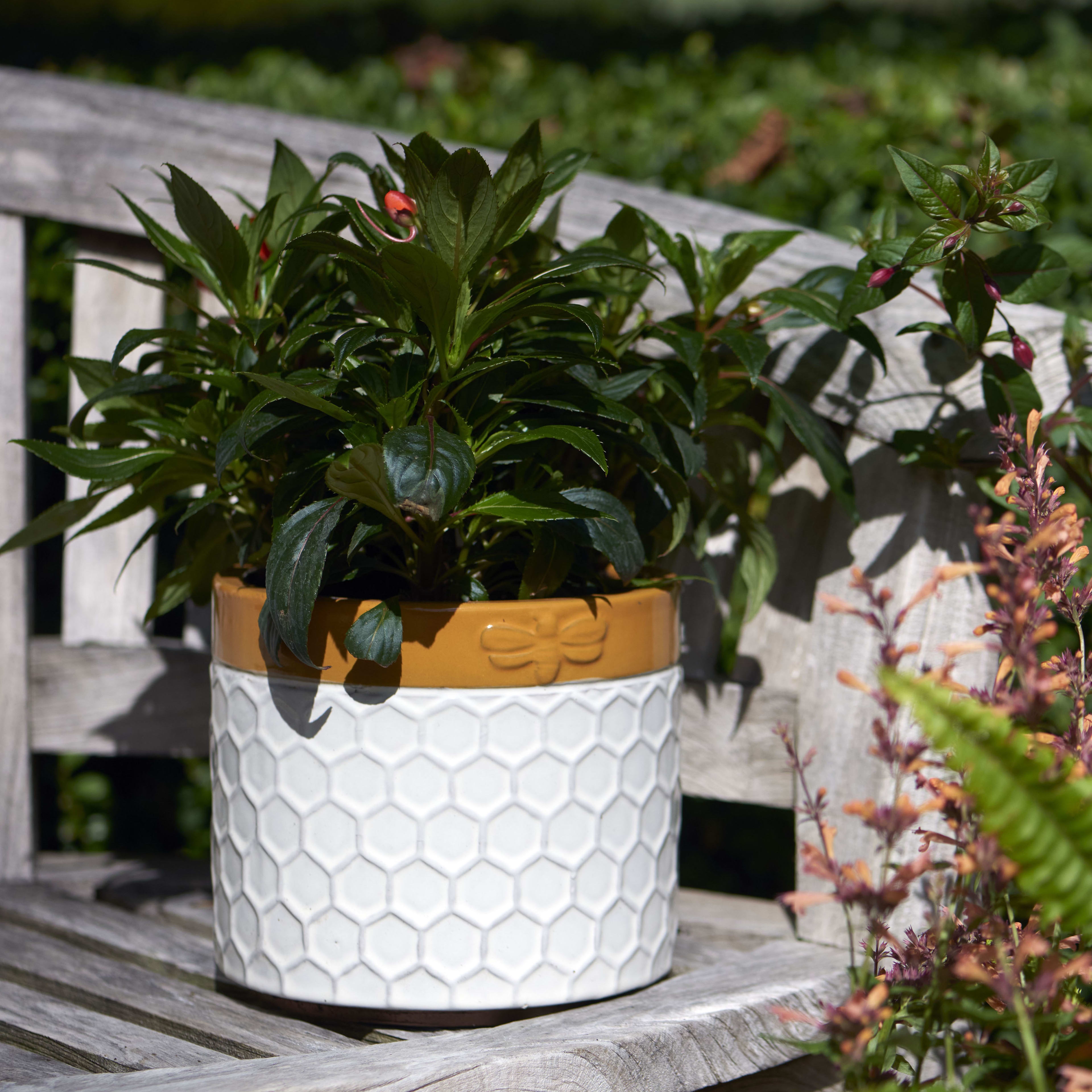 [object Object] image 6