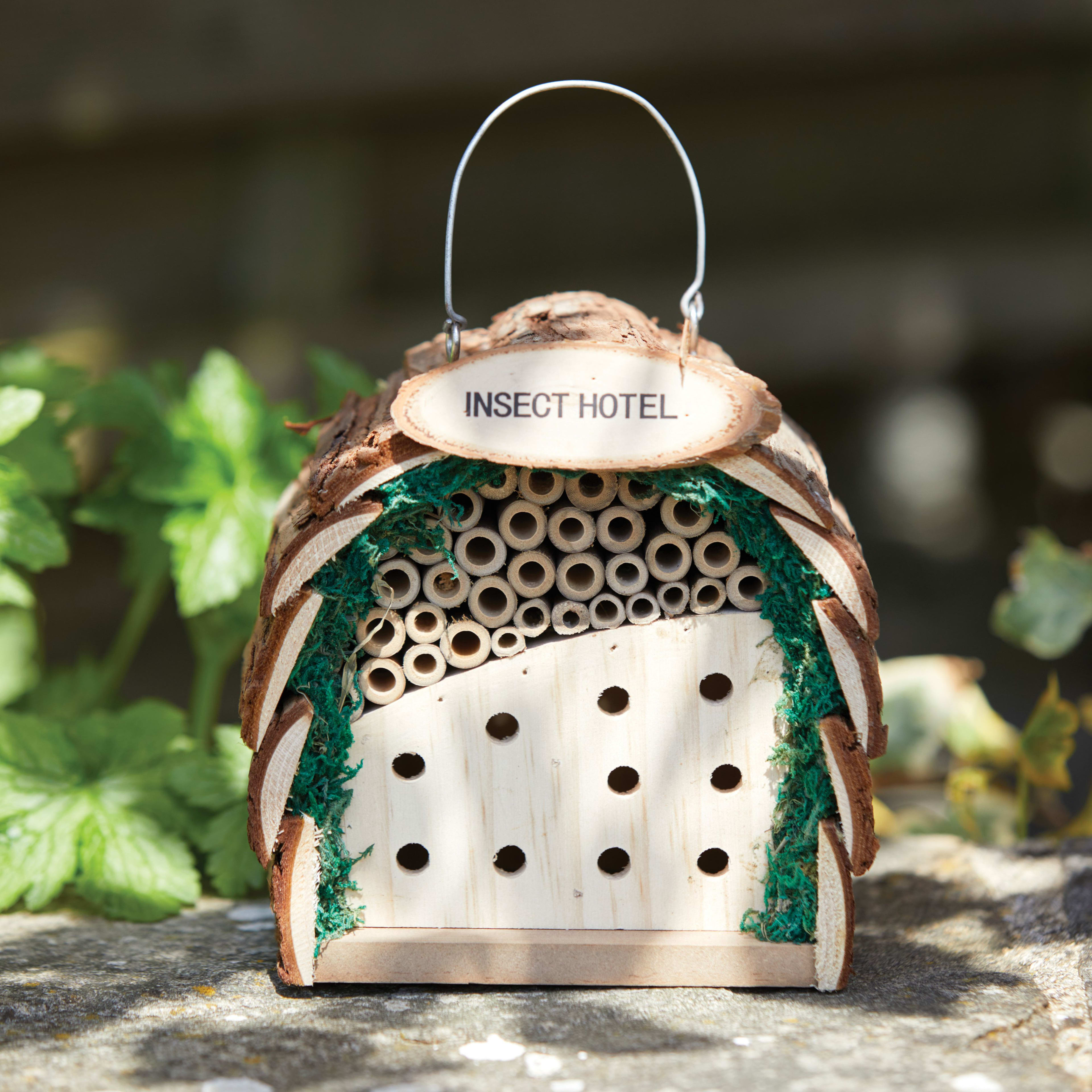 [object Object] image 0