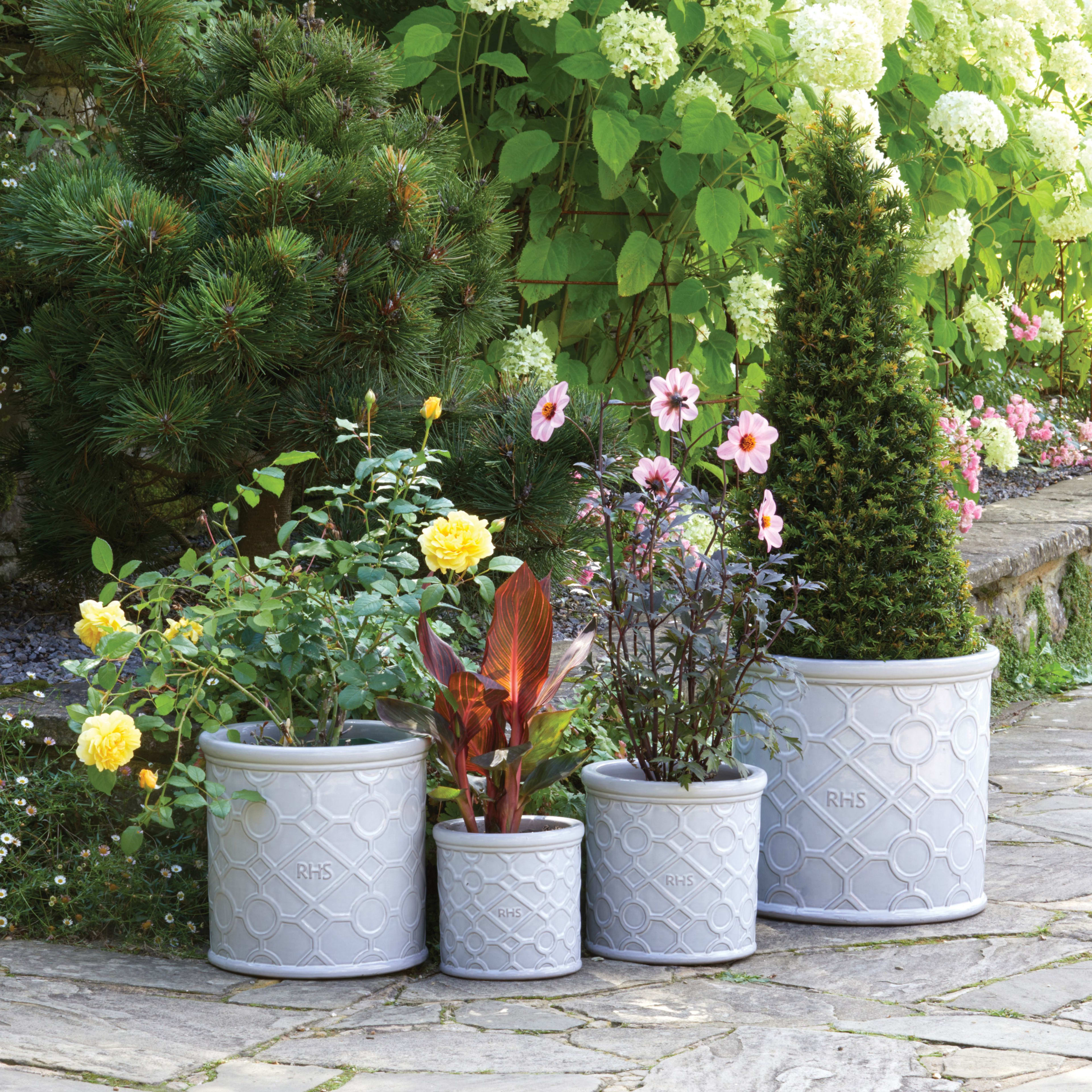 [object Object] image 4