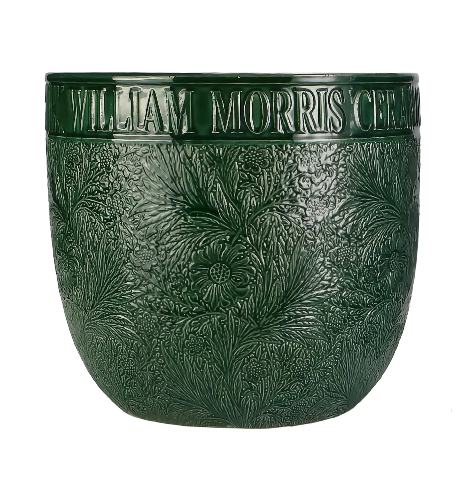 [object Object] image 5