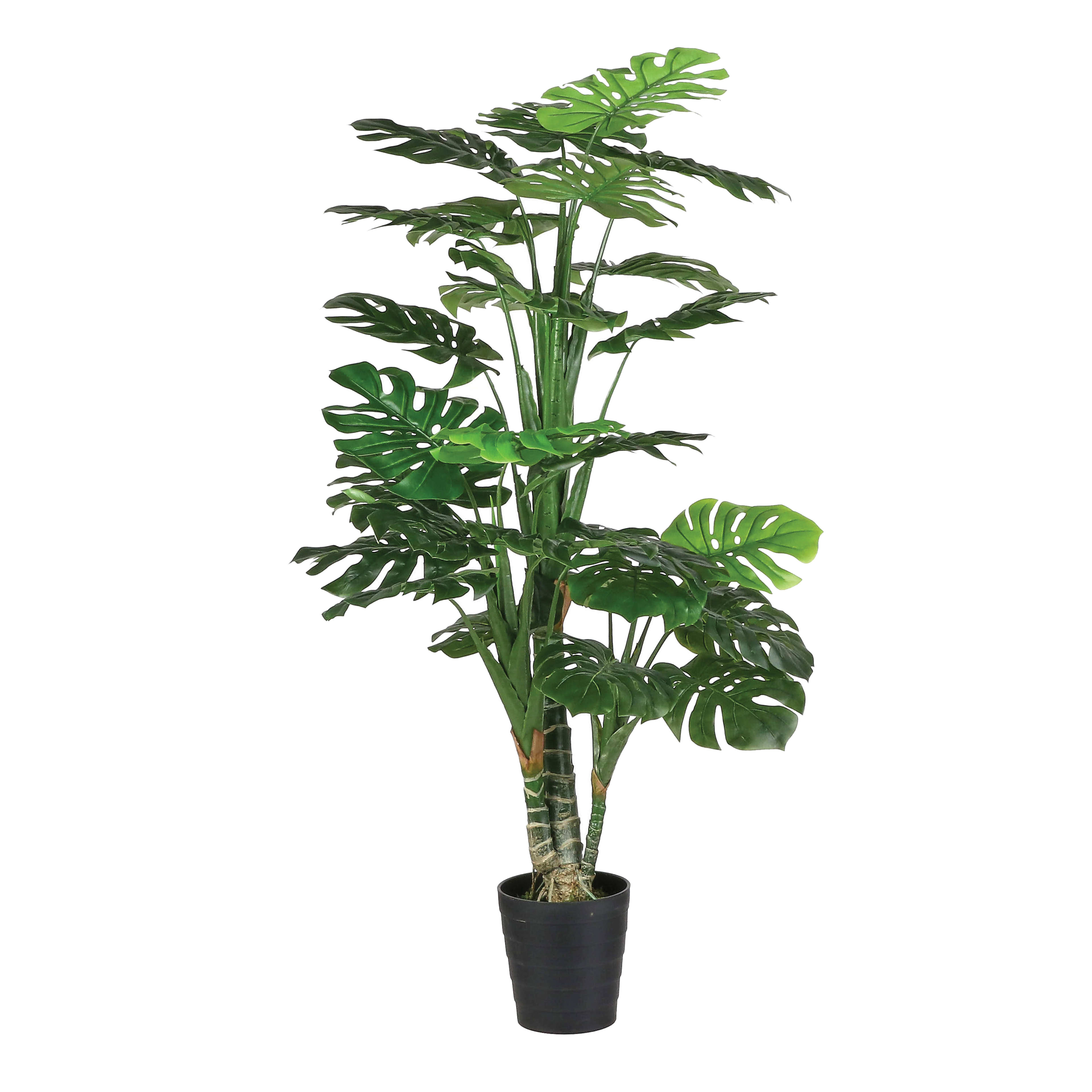 PLANTMONSL