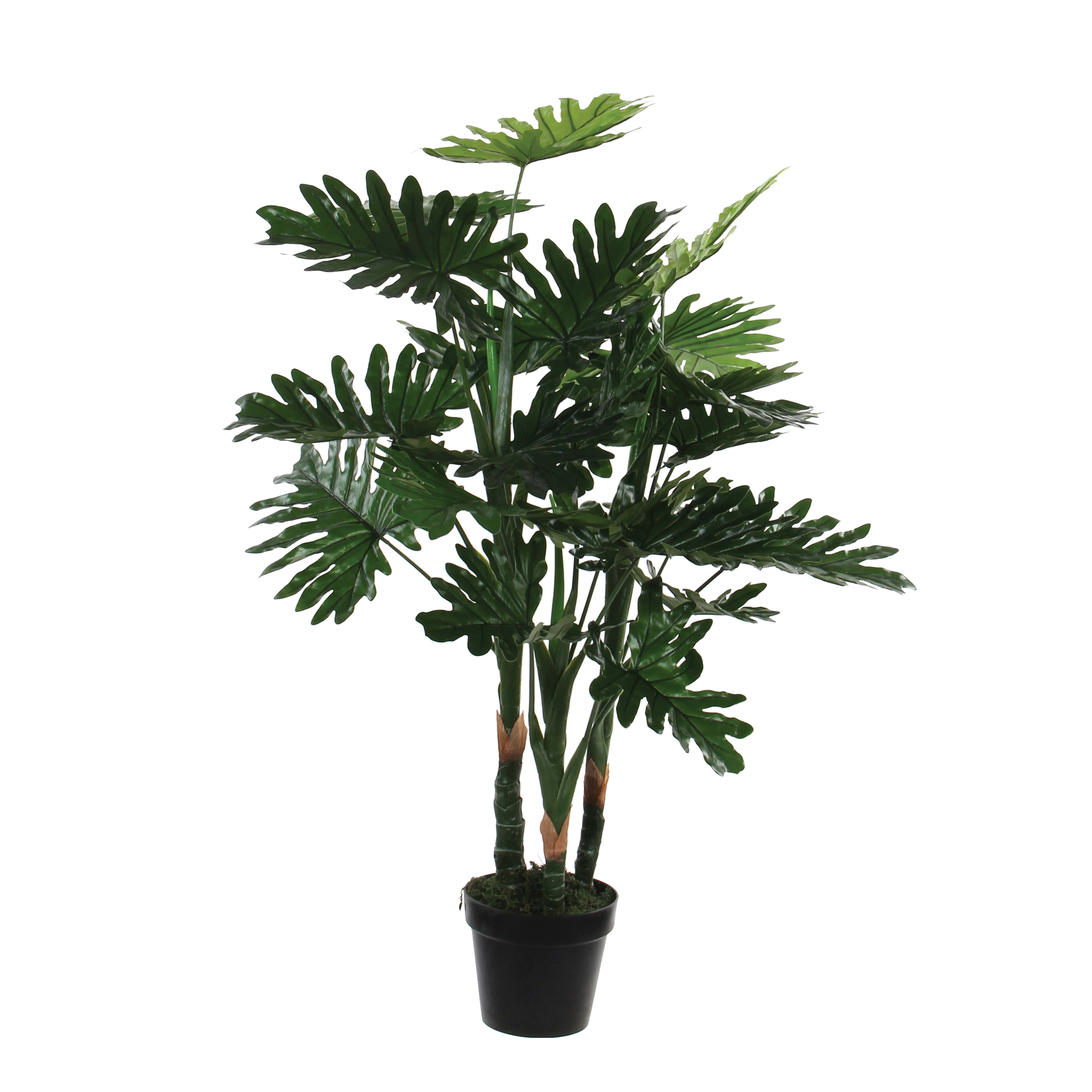 PLANTPHILM