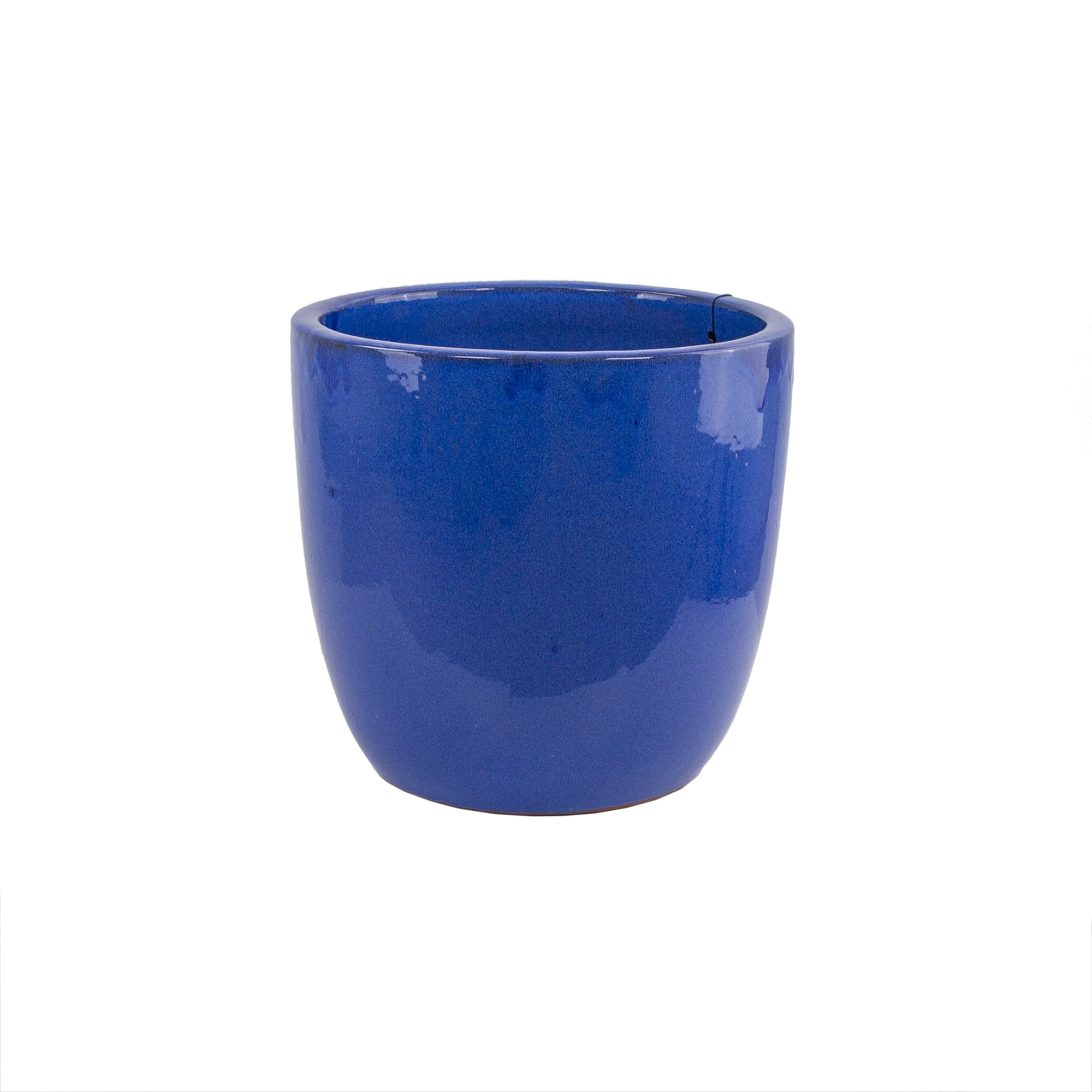 [object Object] image 4