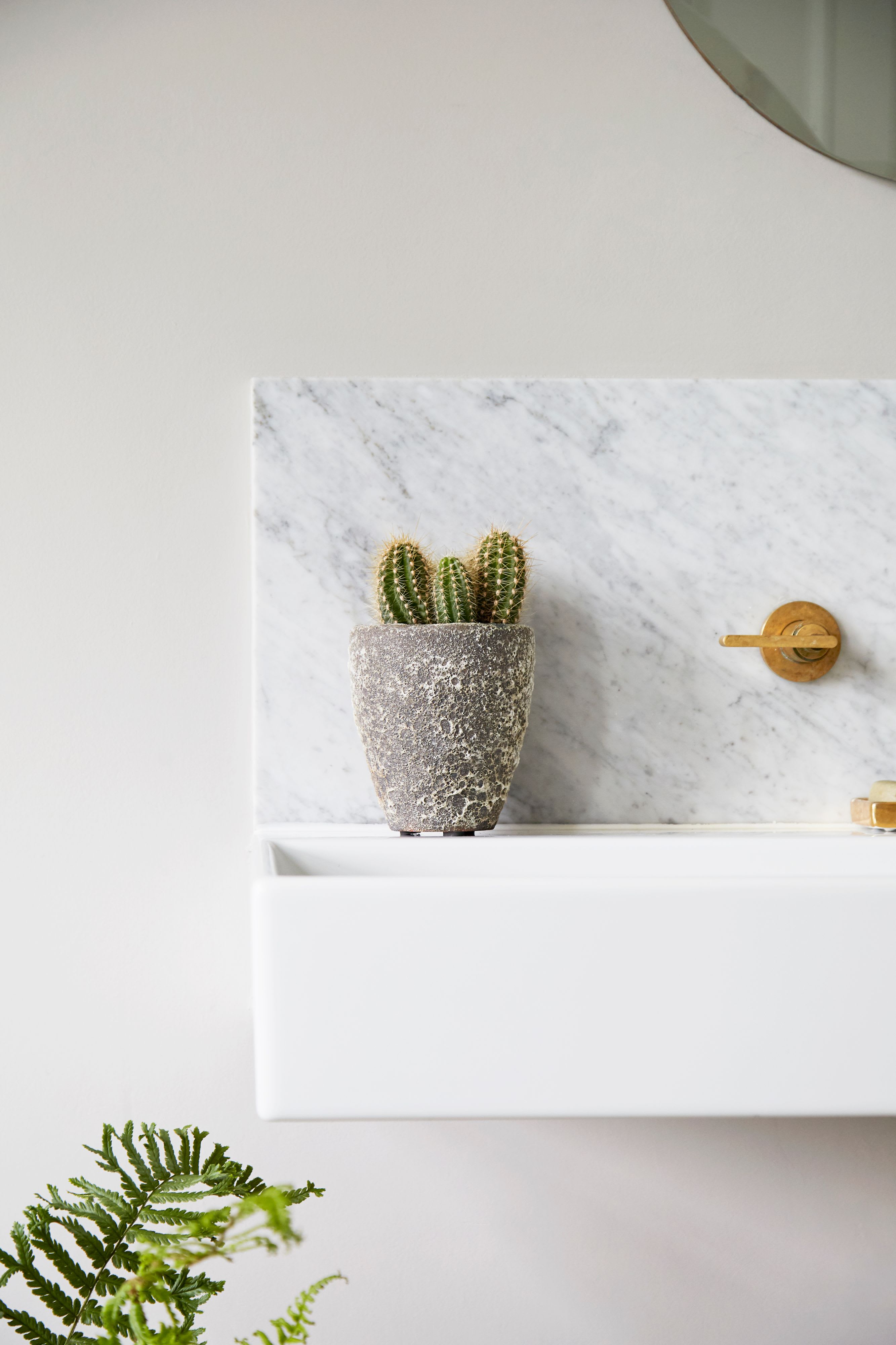 [object Object] image 2