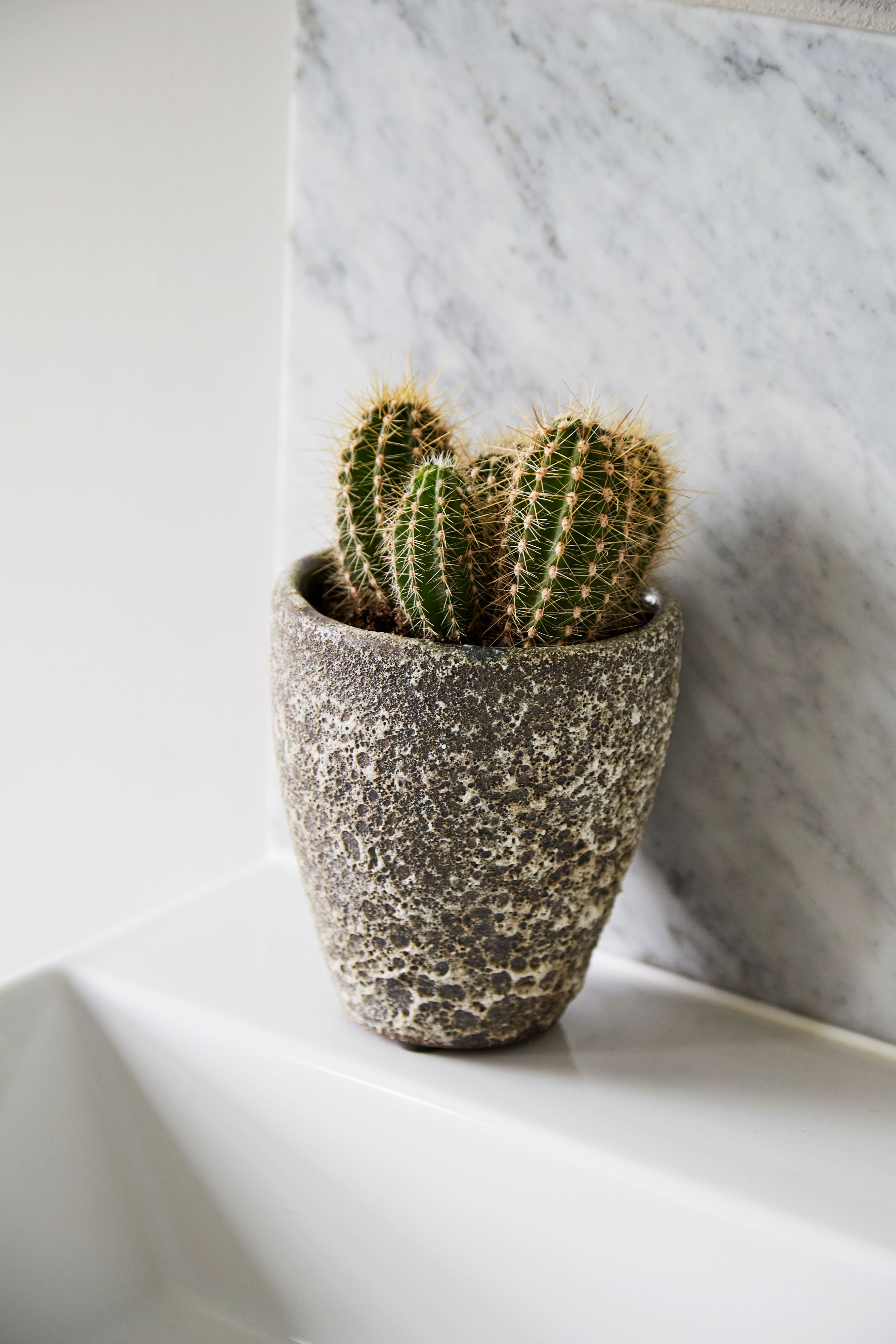 [object Object] image 3