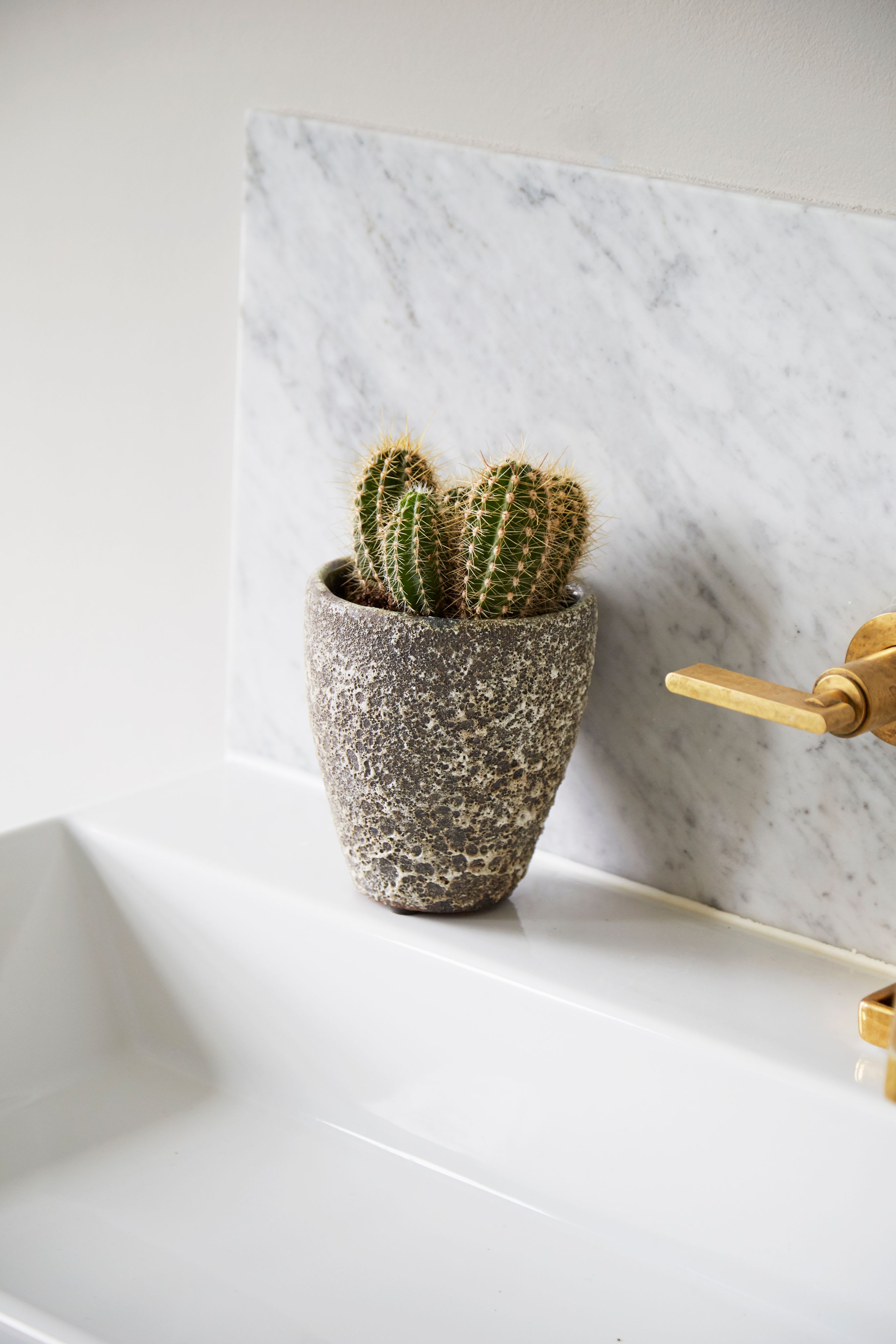 [object Object] image 4