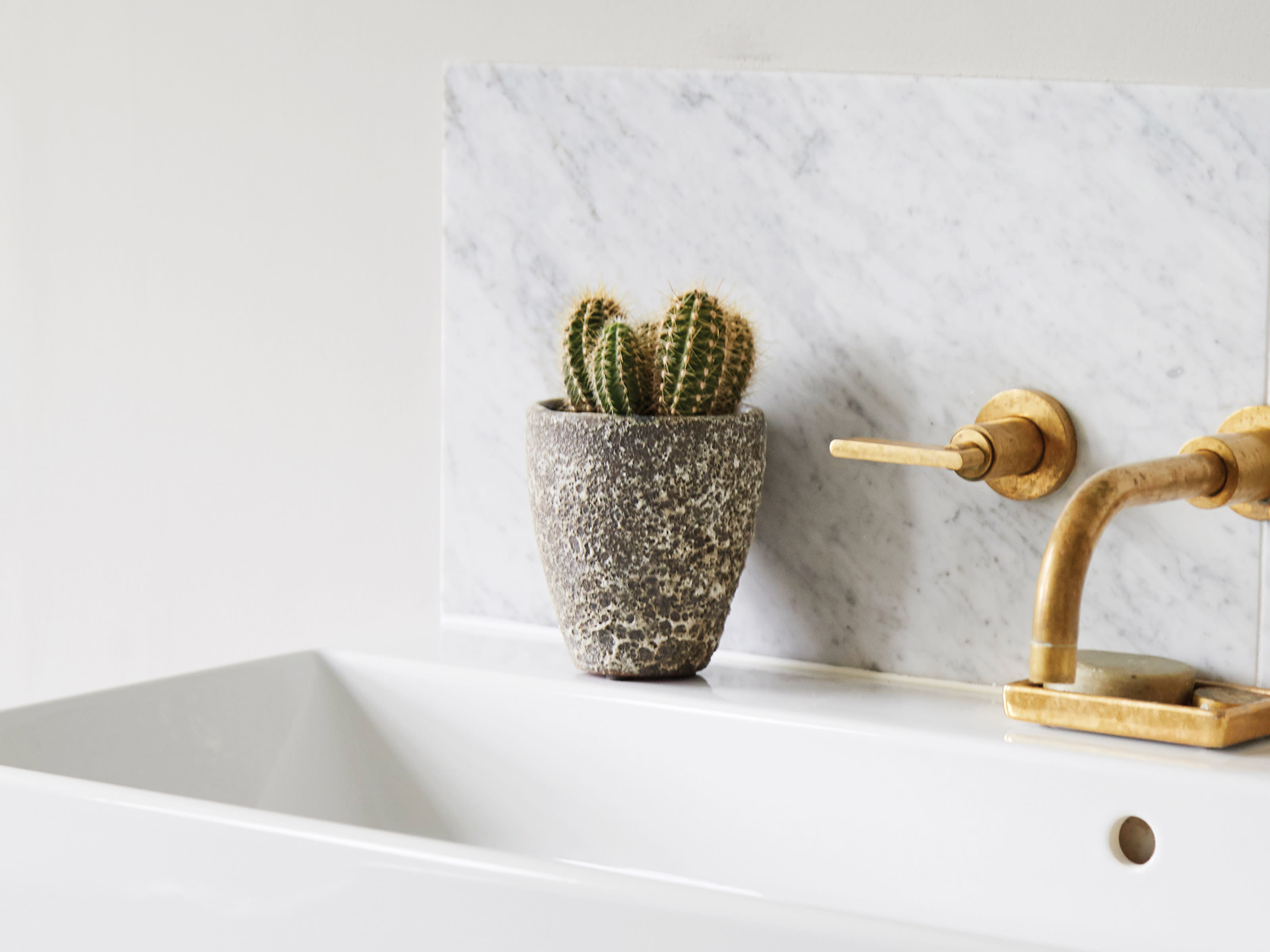 [object Object] image 5