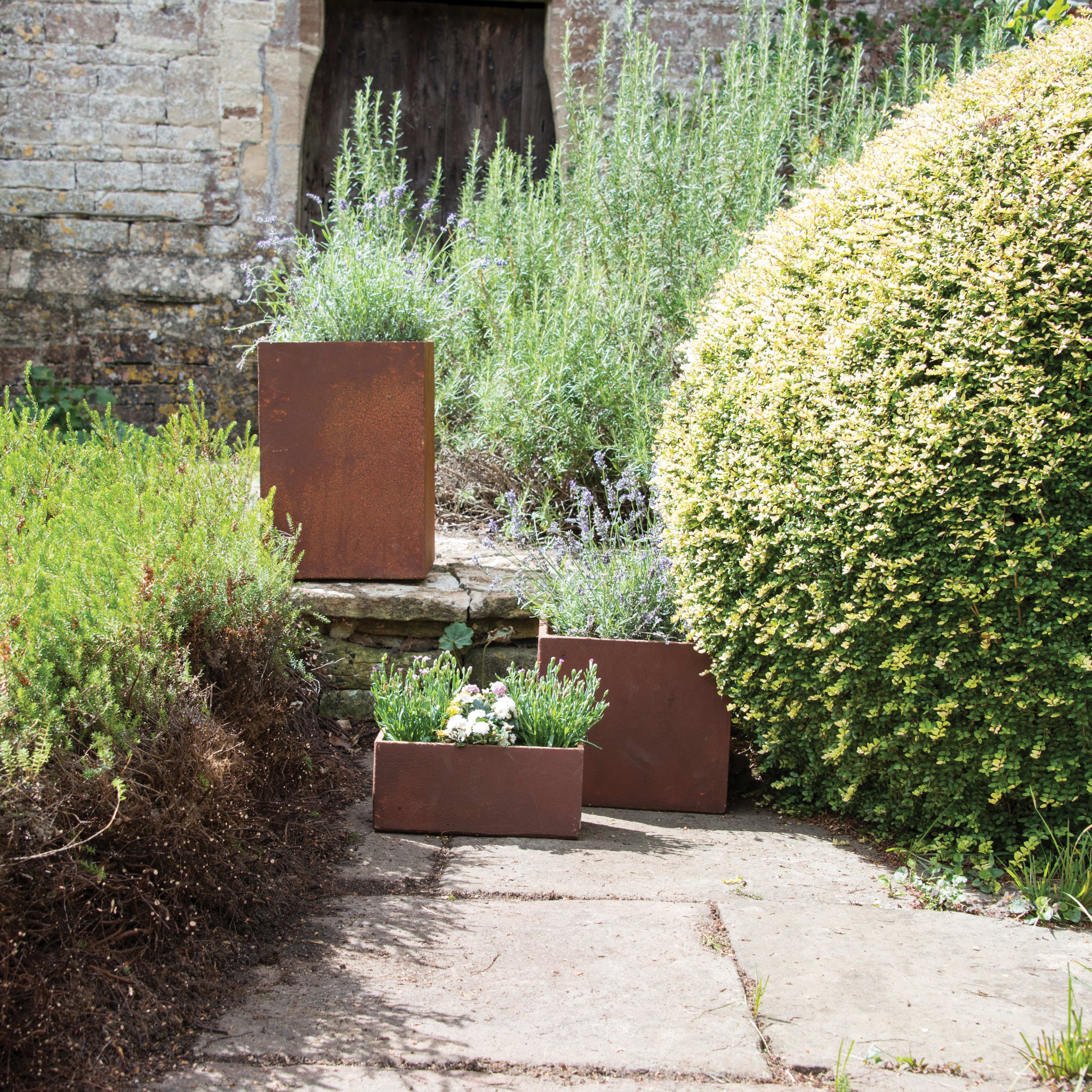 [object Object] image 6