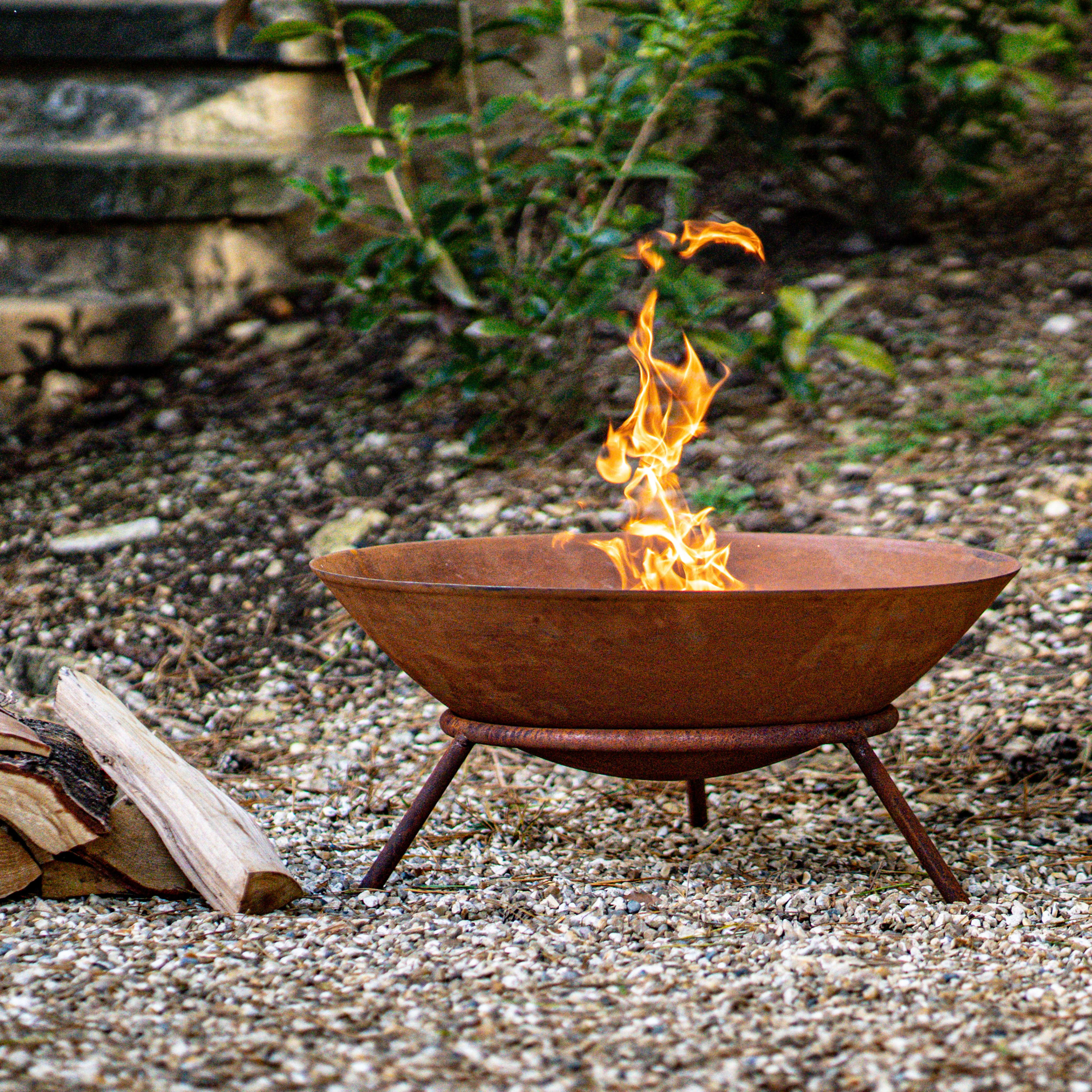 [object Object] image 2