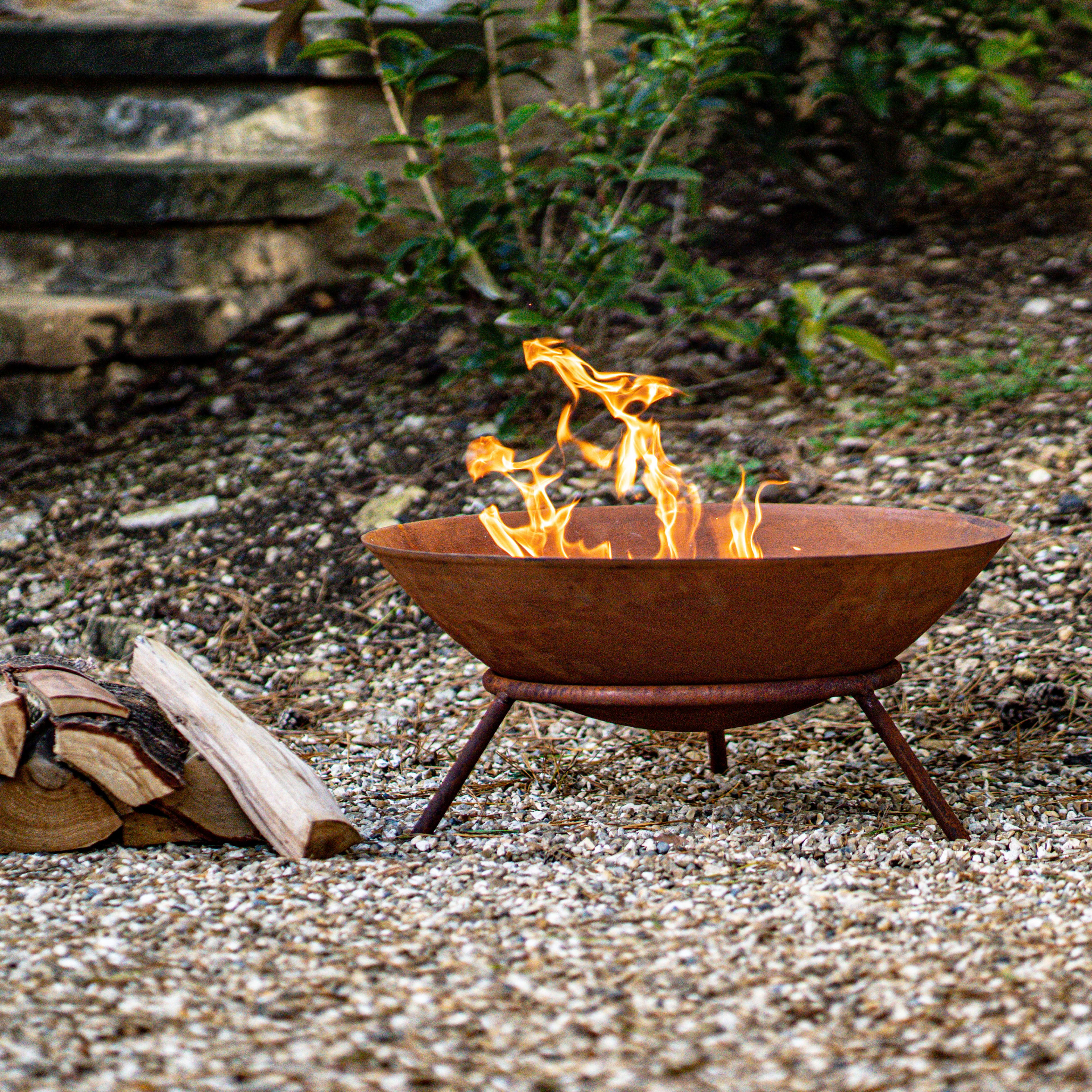 [object Object] image 3