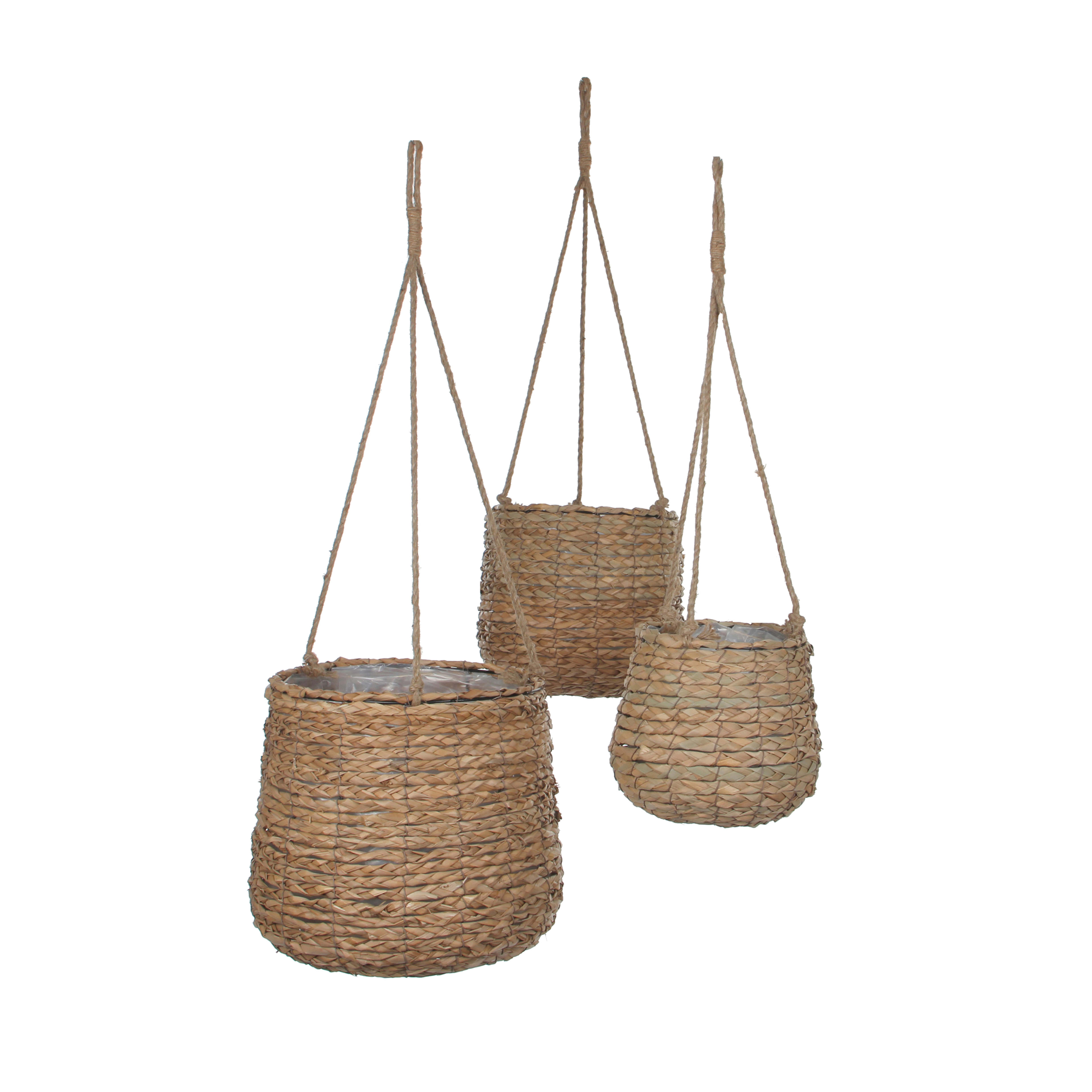 [object Object] image 1