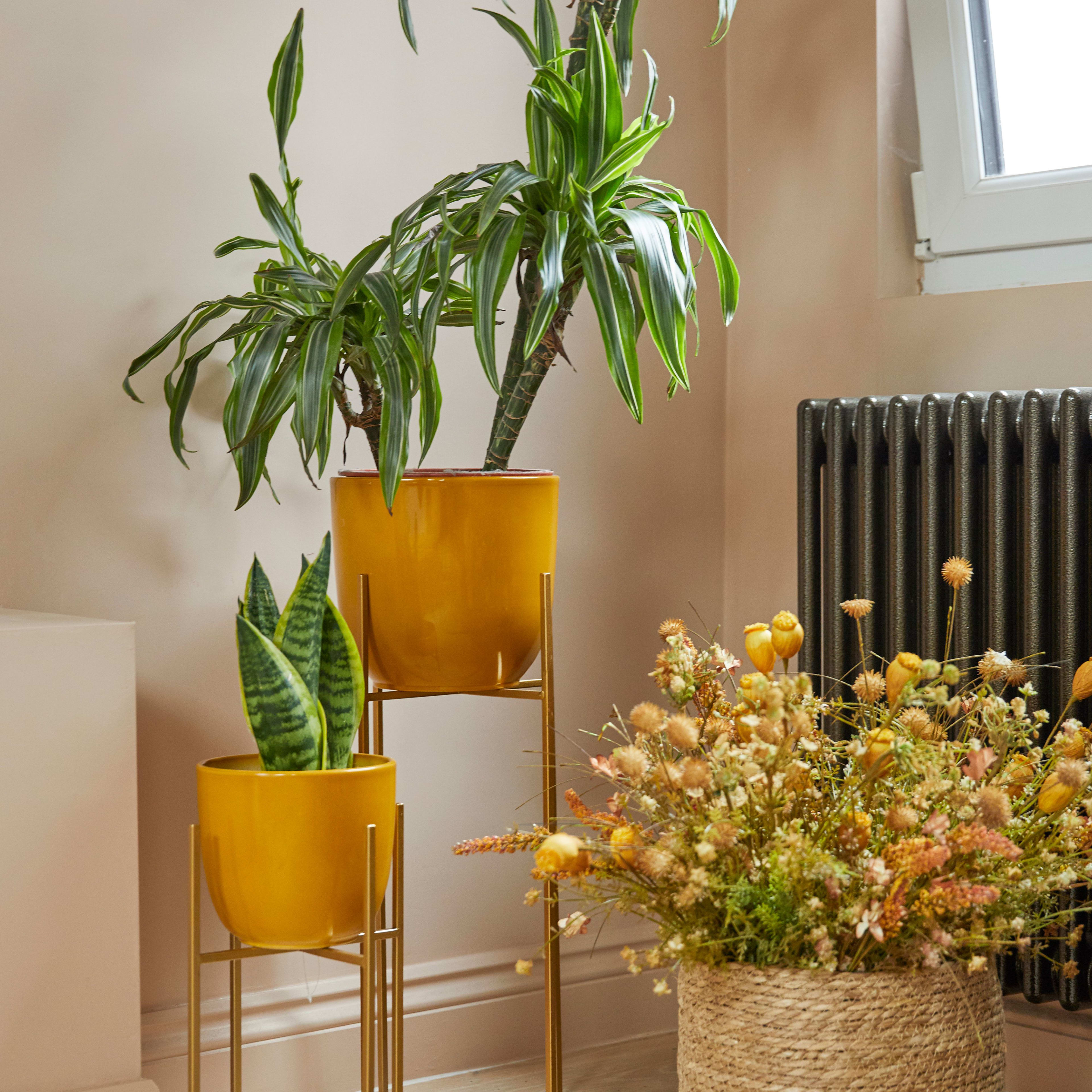 [object Object] image 1