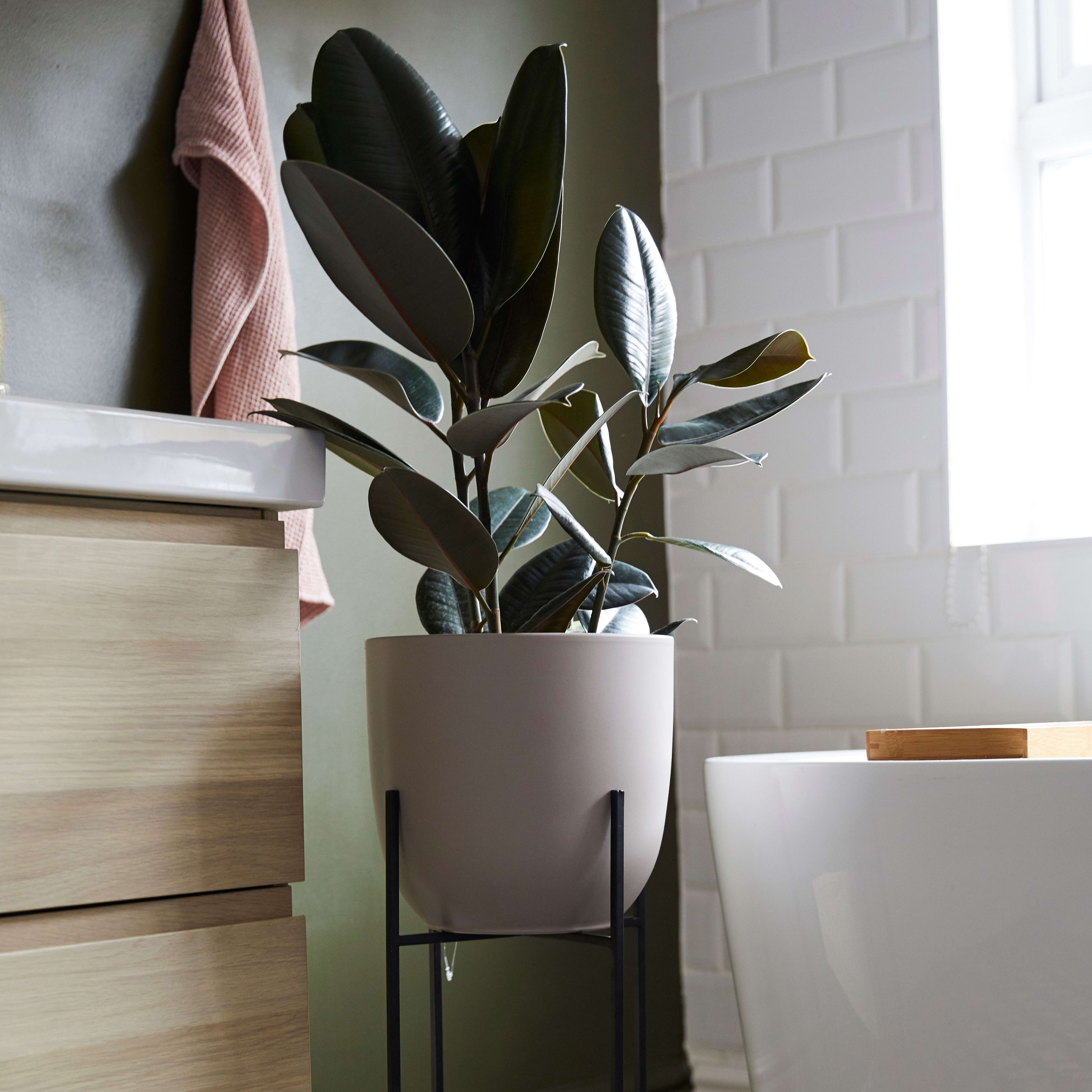 [object Object] image 1