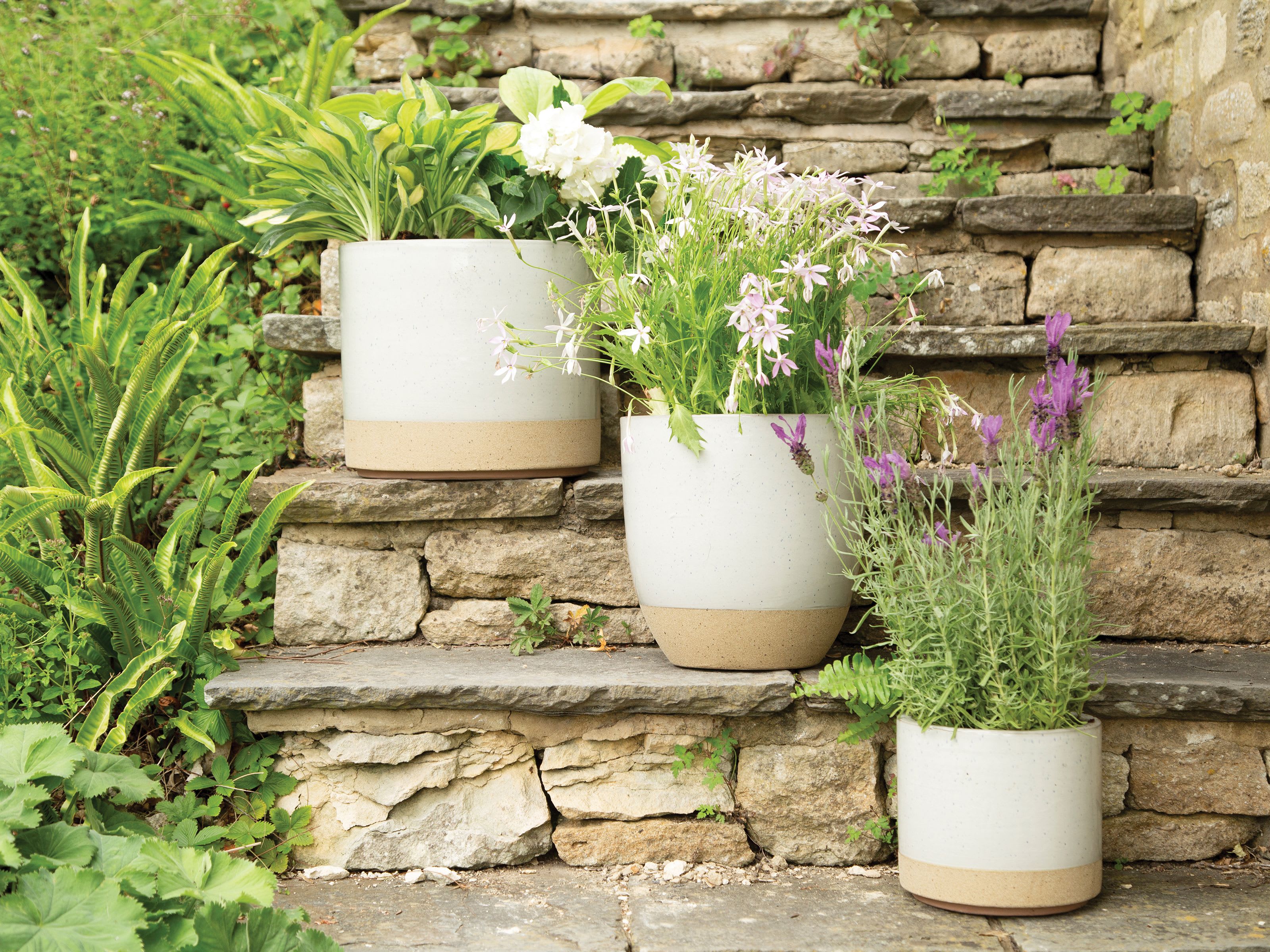 [object Object] image 5