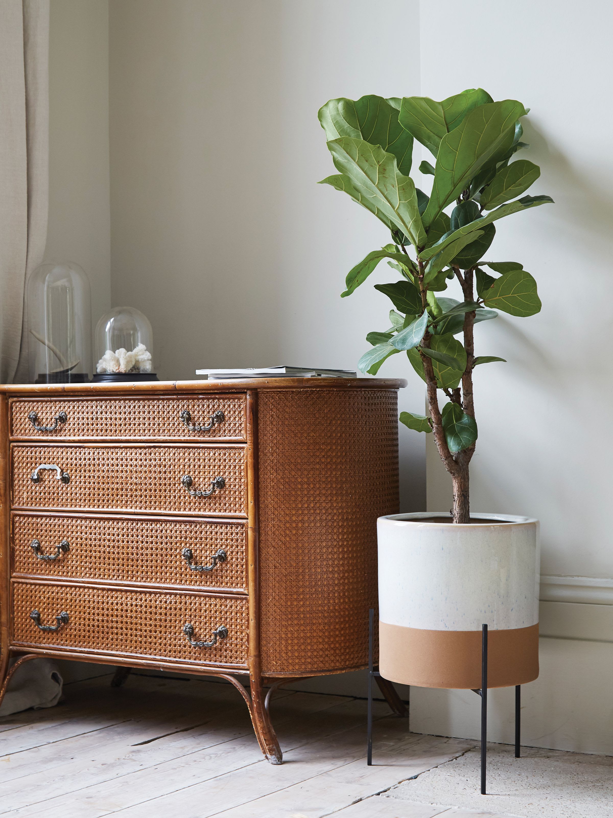 [object Object] image 2