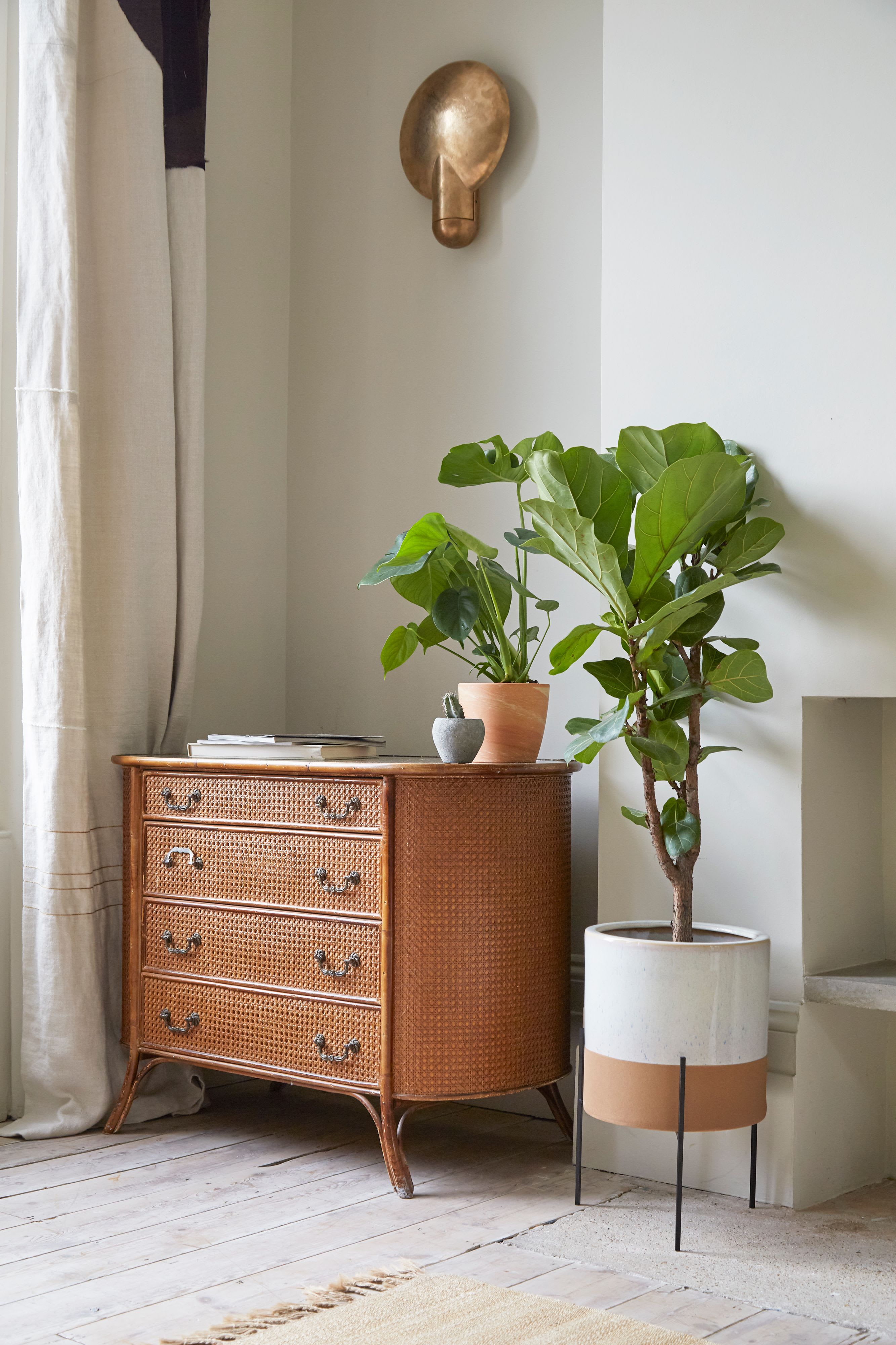 [object Object] image 4