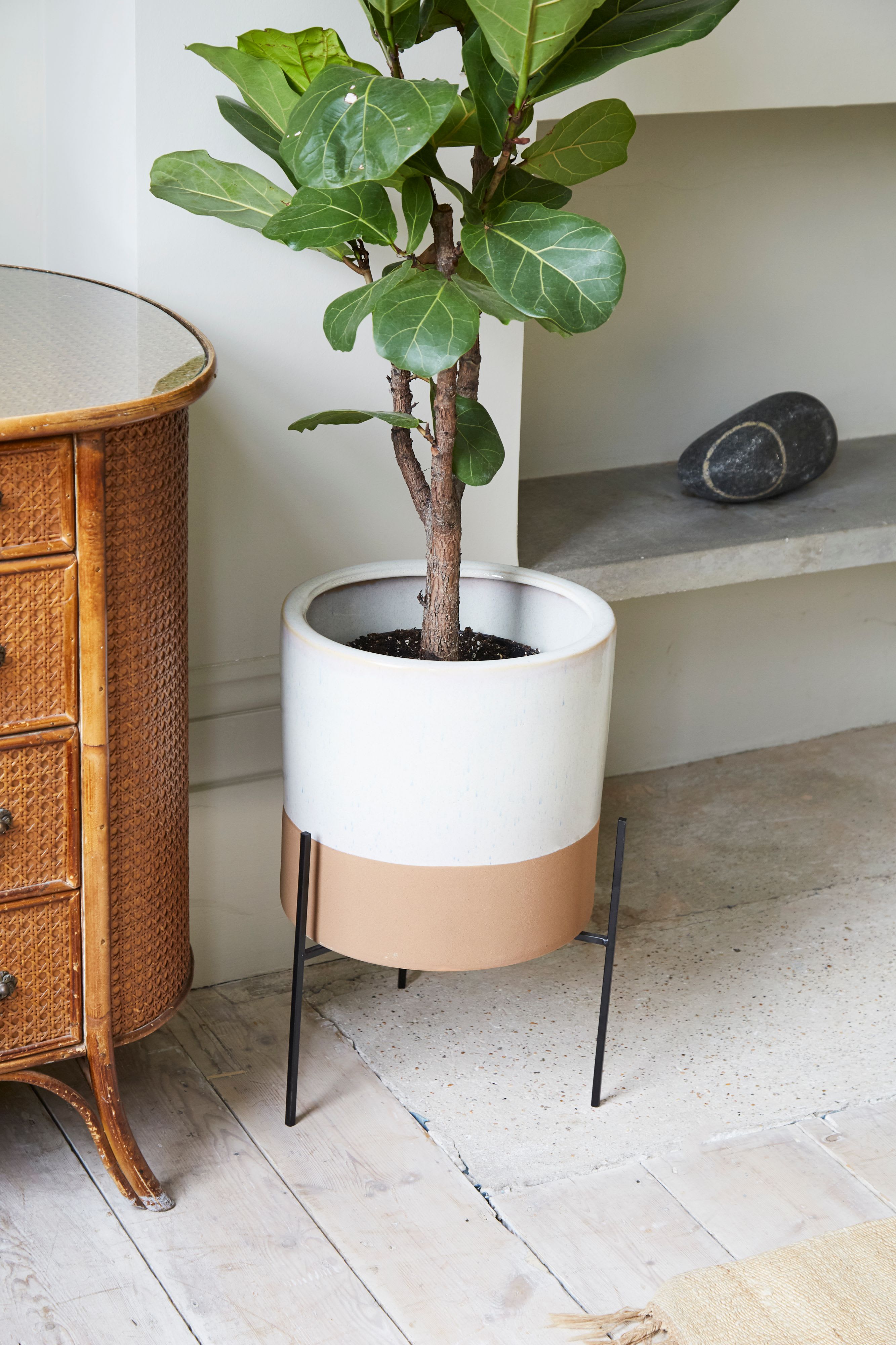 [object Object] image 6