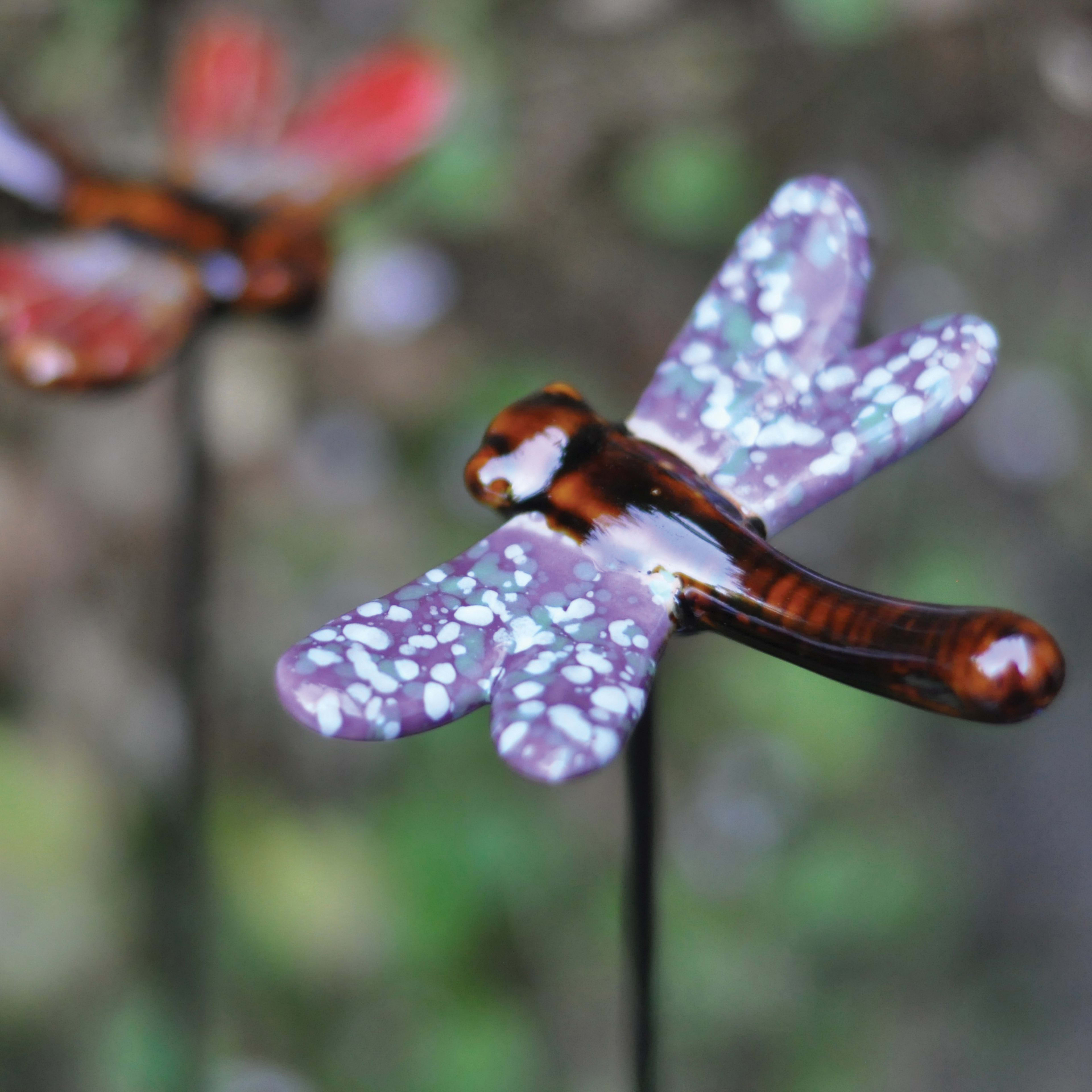 [object Object] image 0