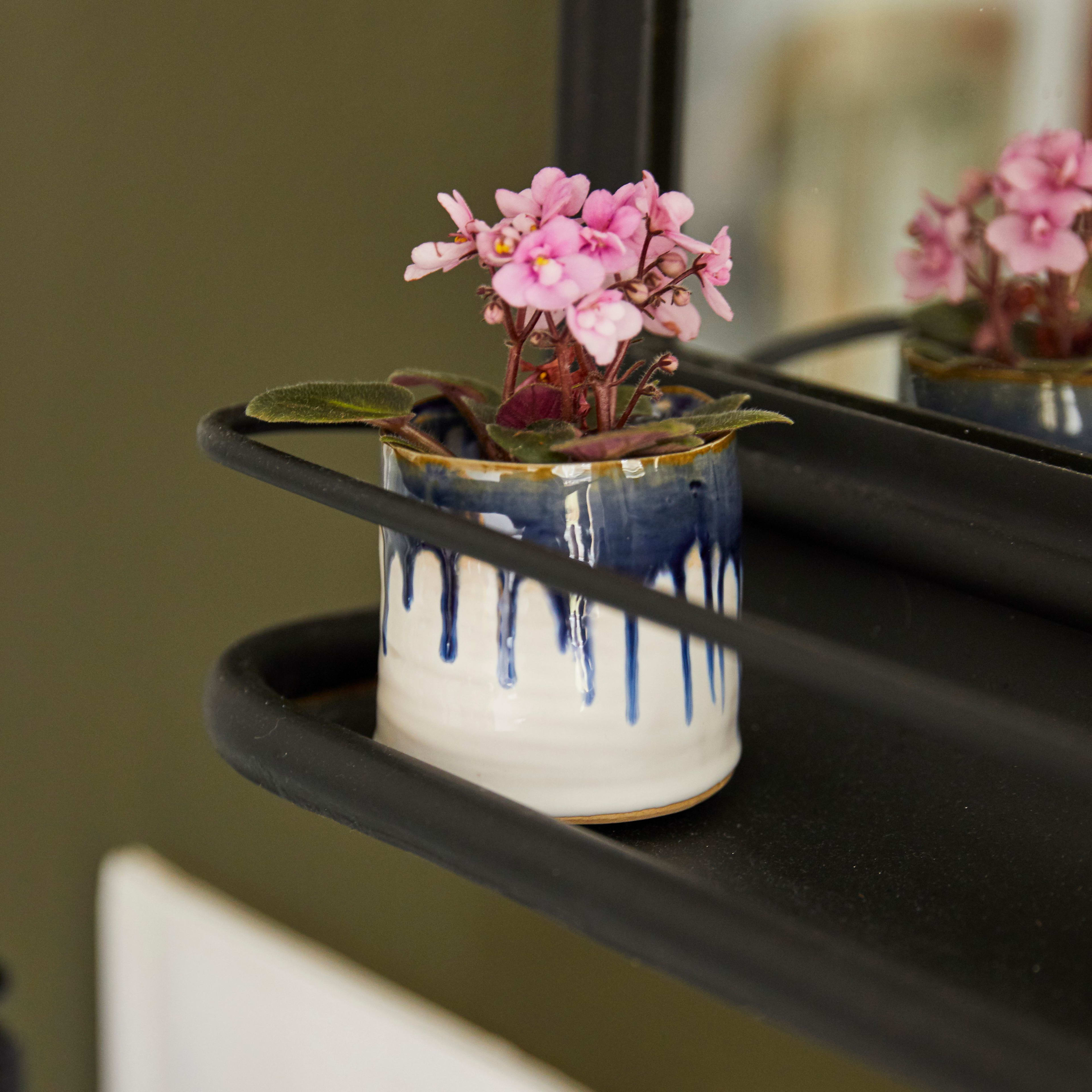 [object Object] image 1