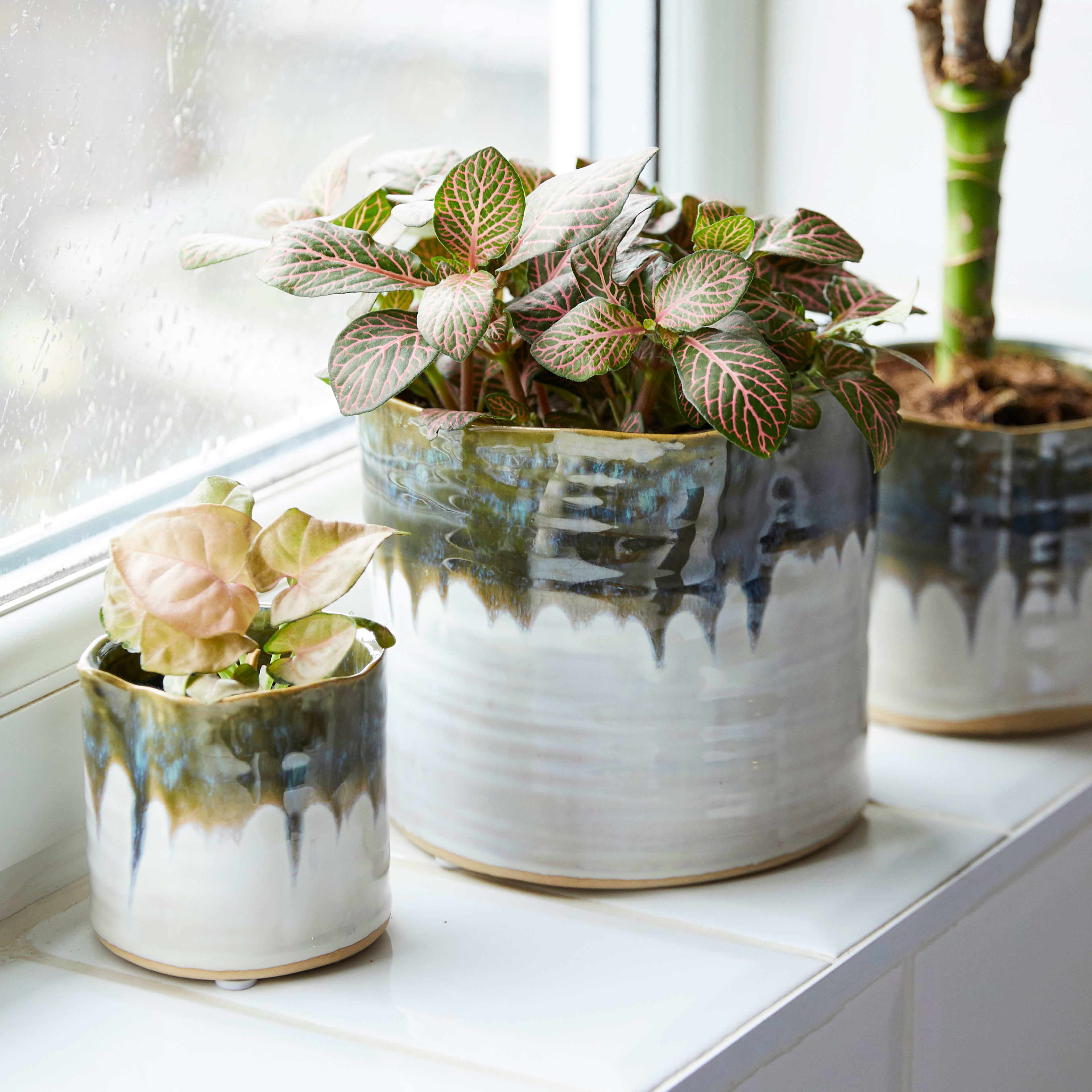 [object Object] image 1