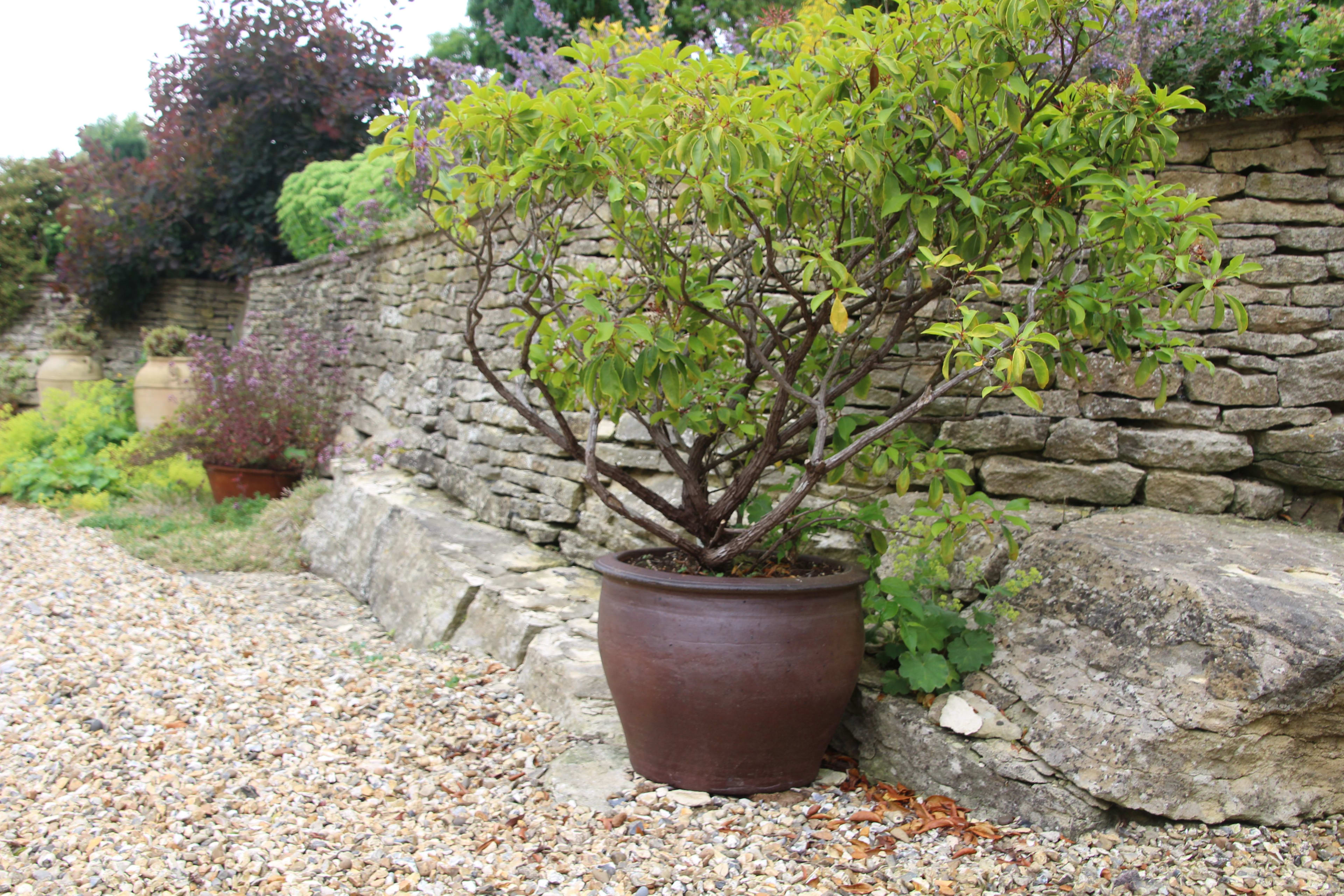 [object Object] image 3