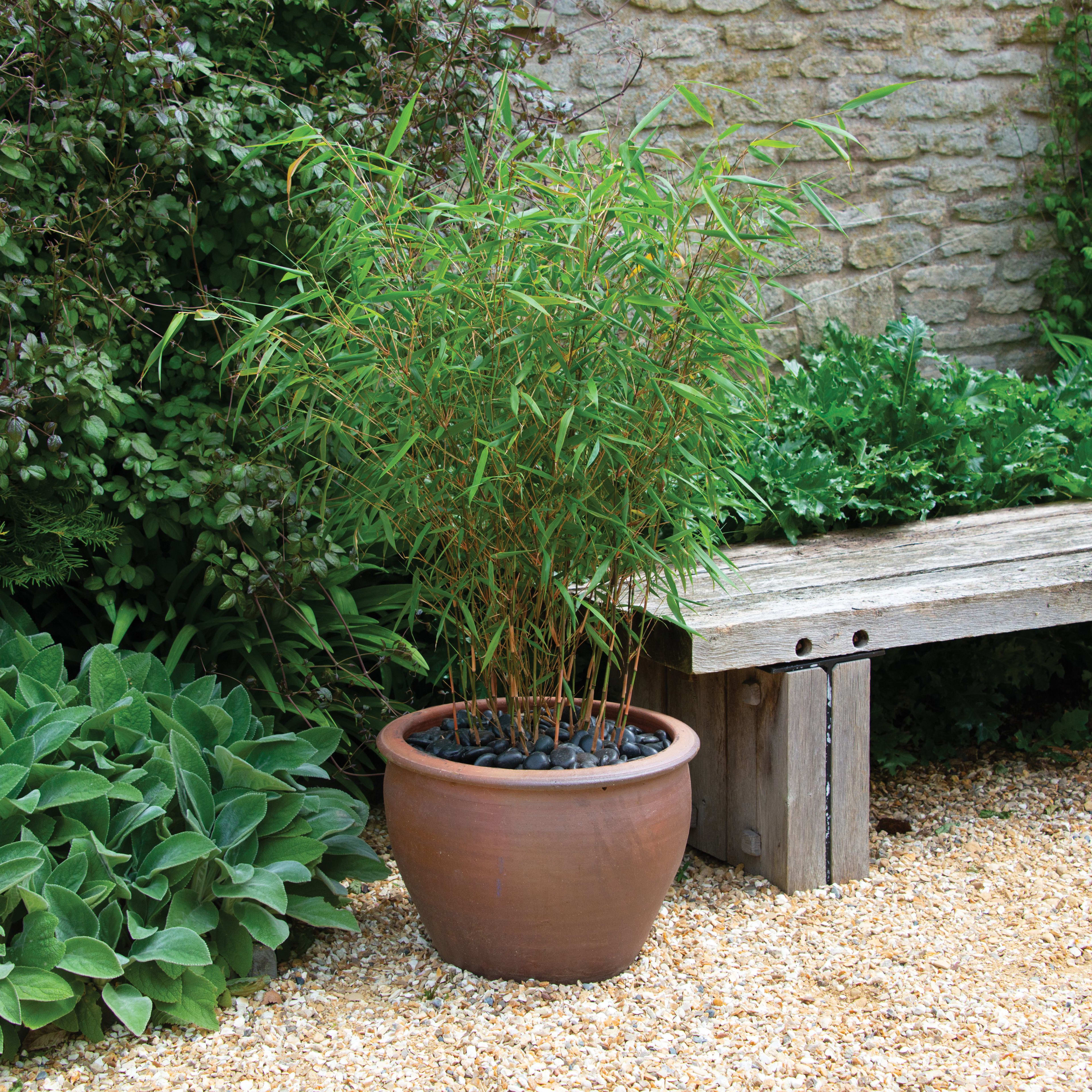 [object Object] image 1